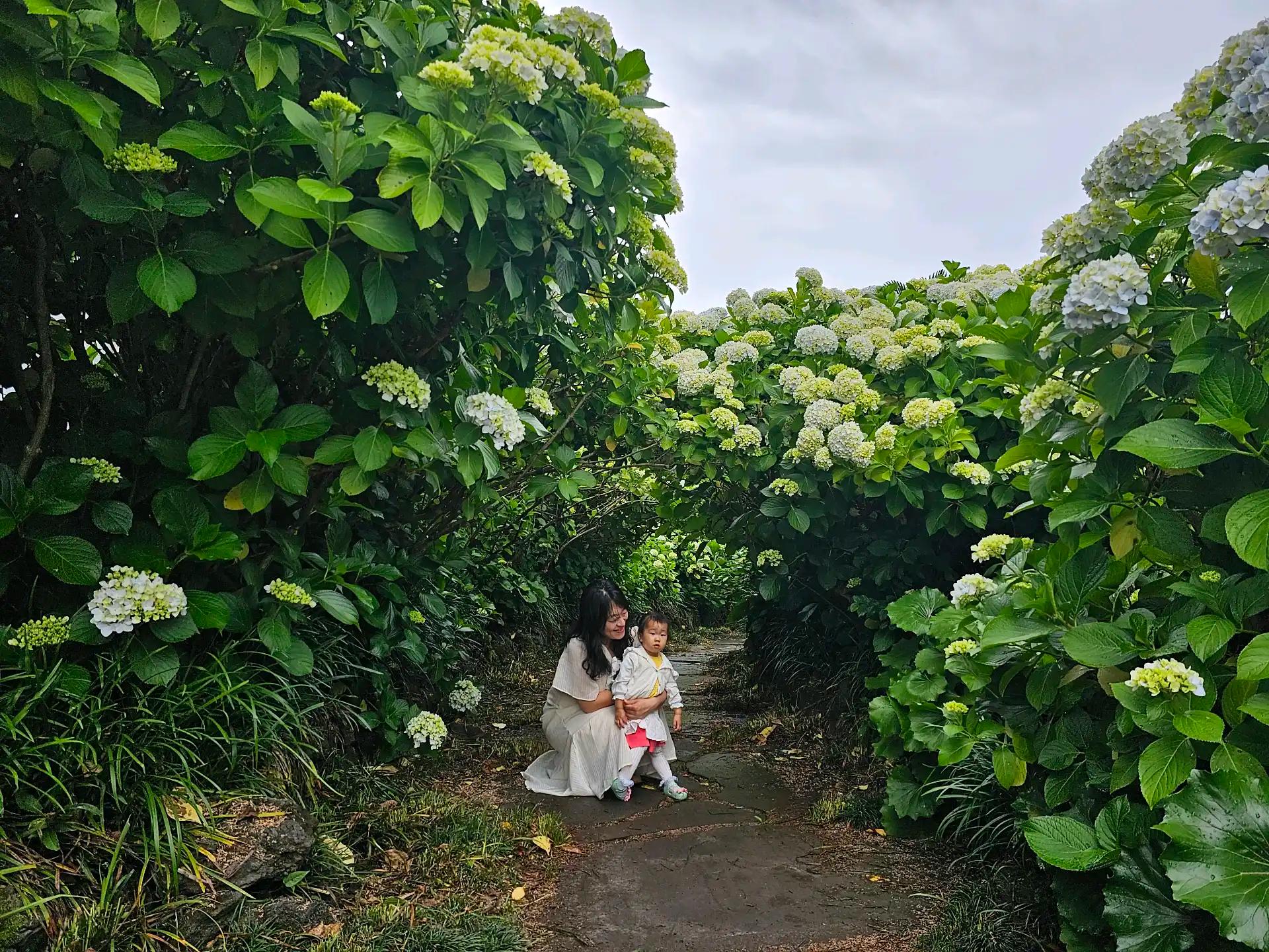 크루톡 이미지 7