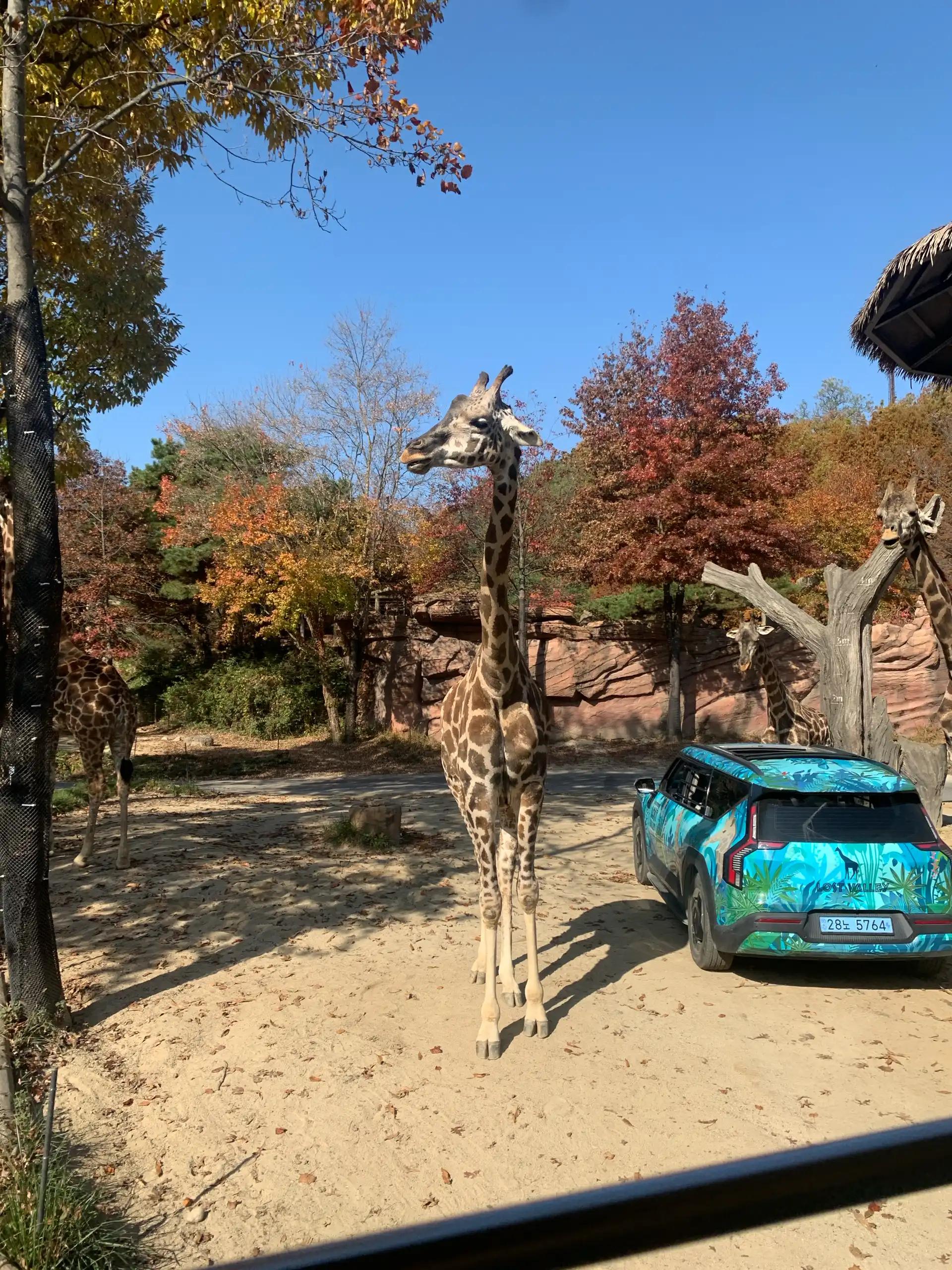 크루톡 이미지 3