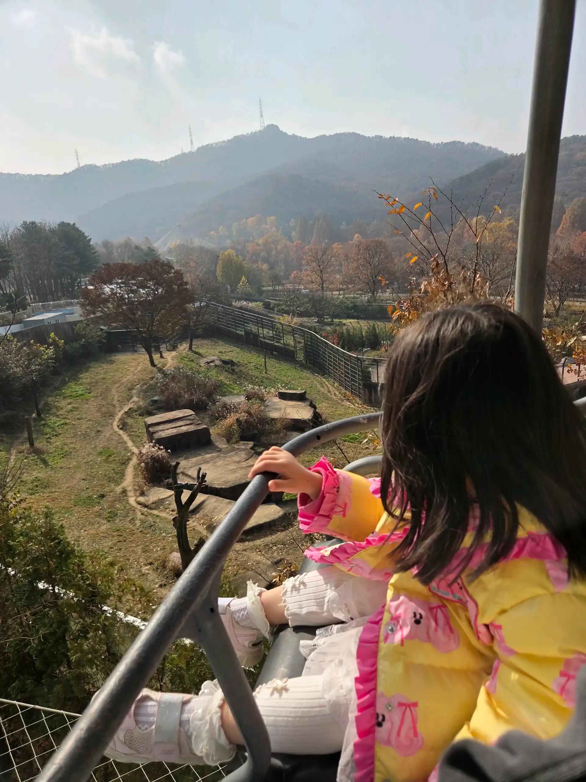 크루톡 이미지 11