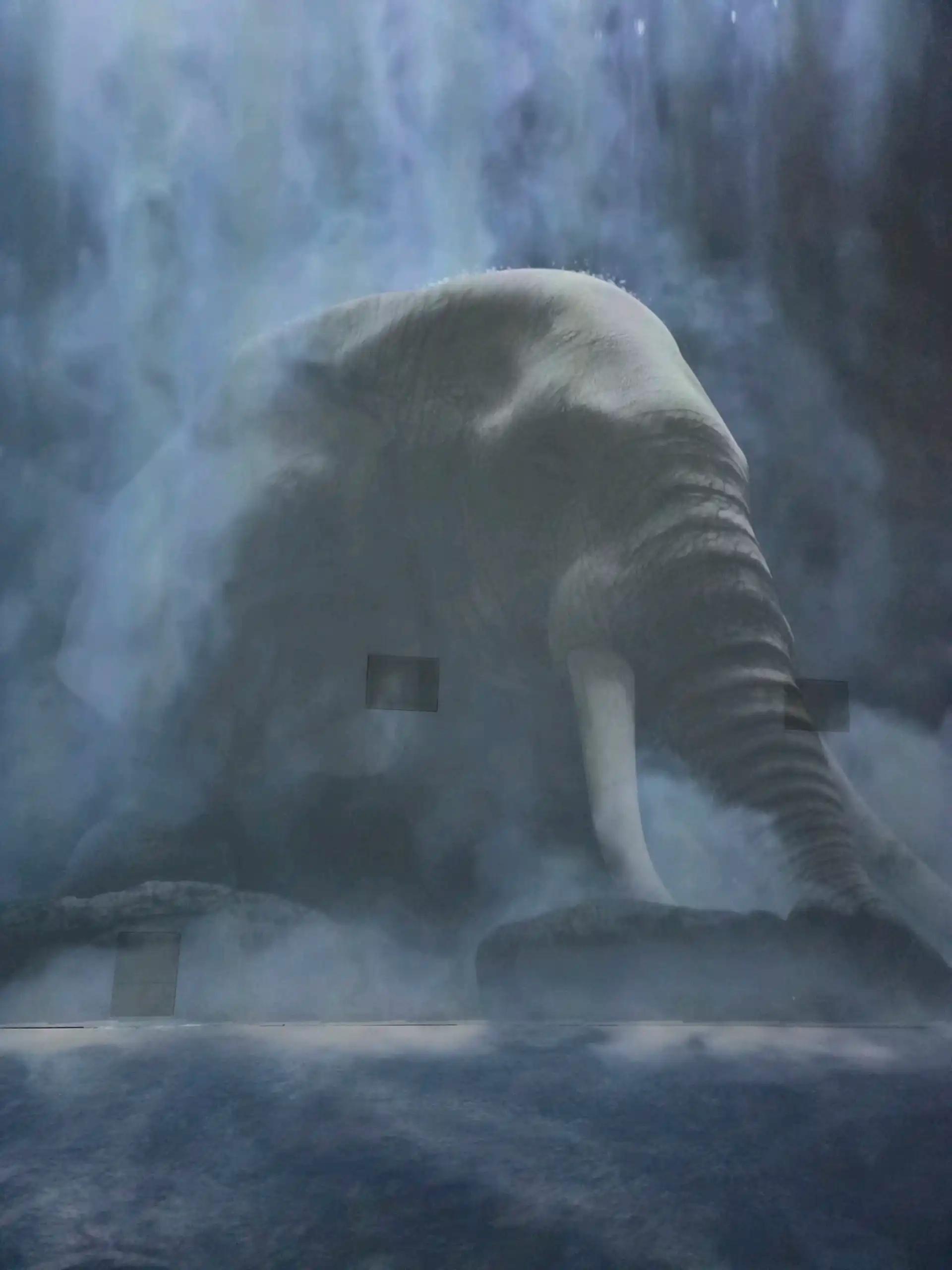 크루톡 이미지 10