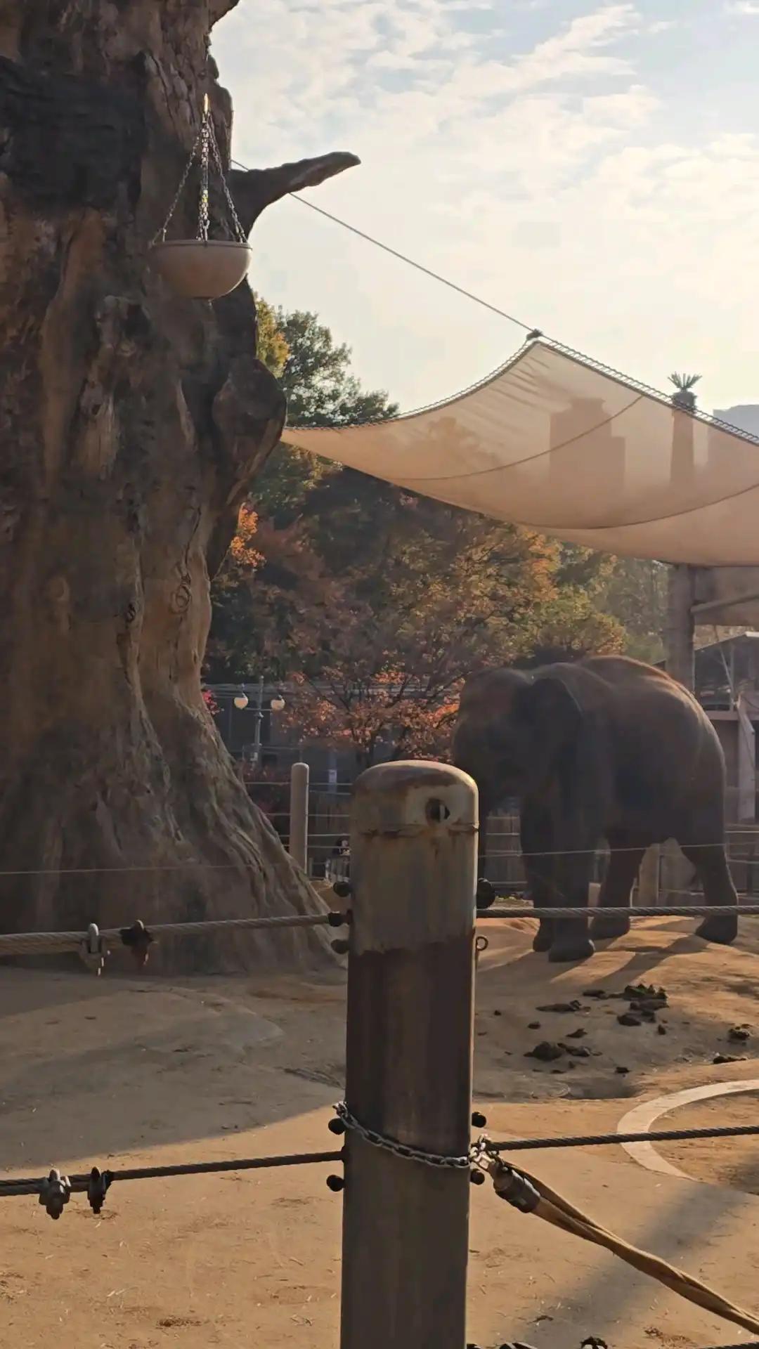 크루톡 이미지 4