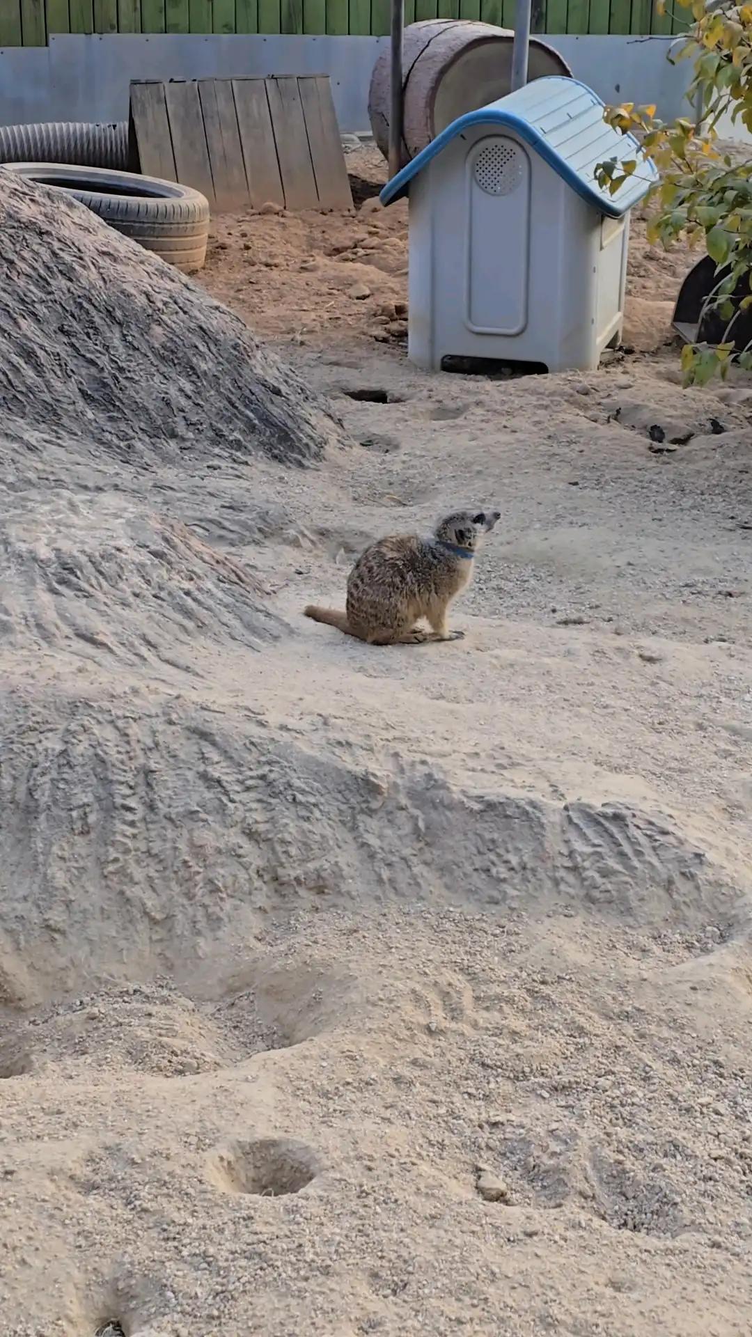 크루톡 이미지 6