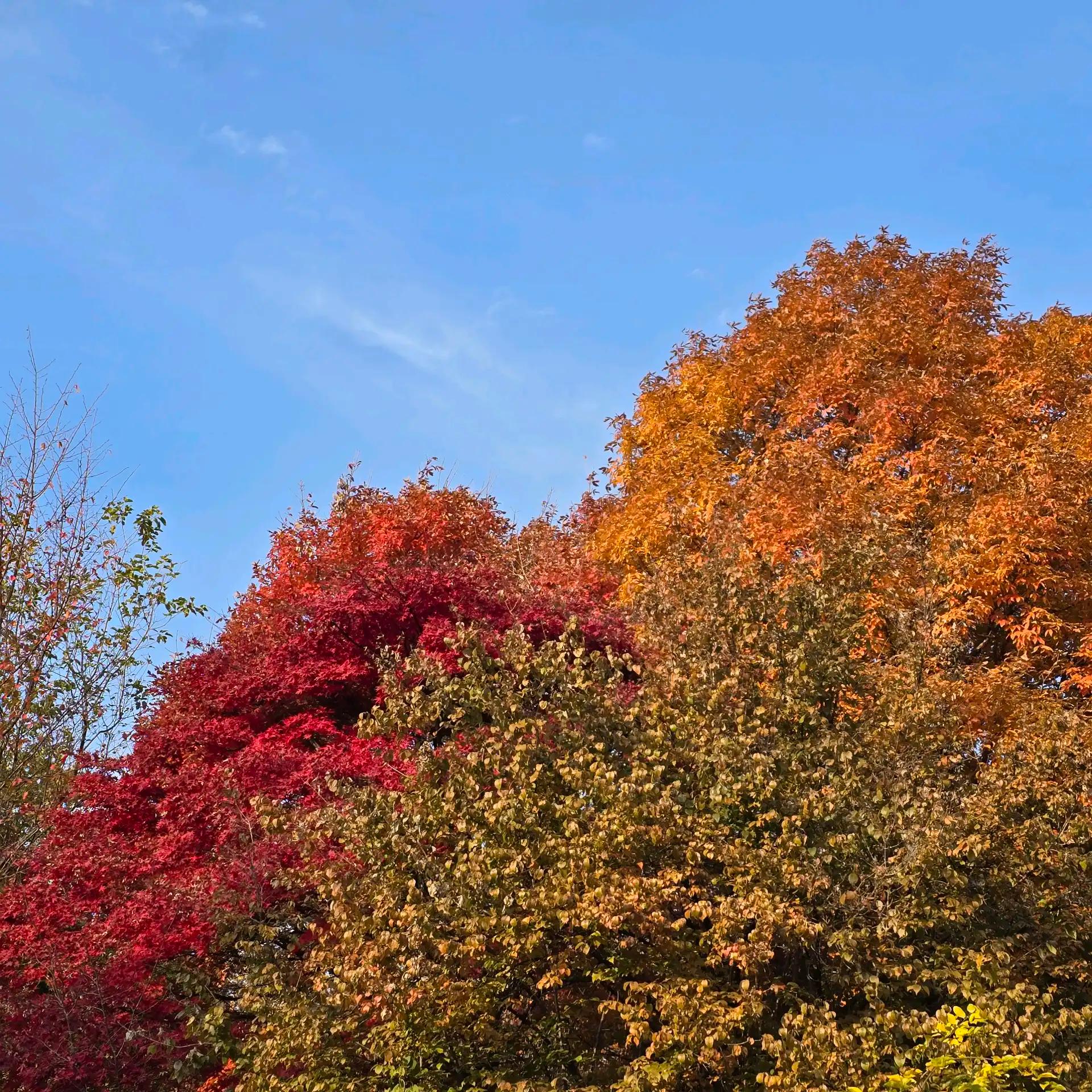 크루톡 이미지 7