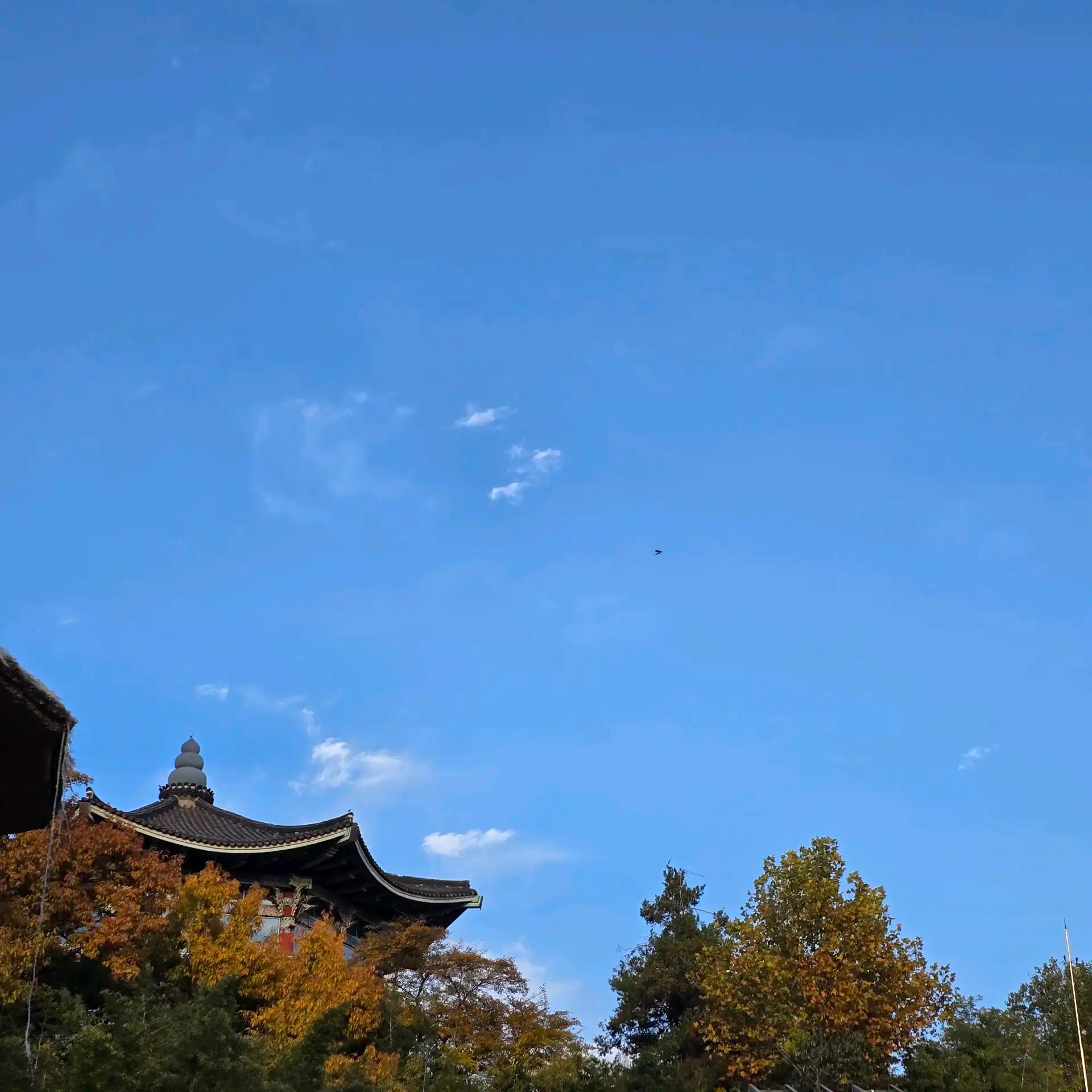 크루톡 이미지 8