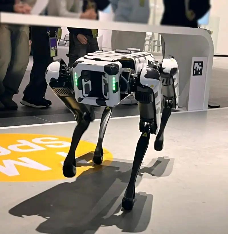 크루톡 이미지 3