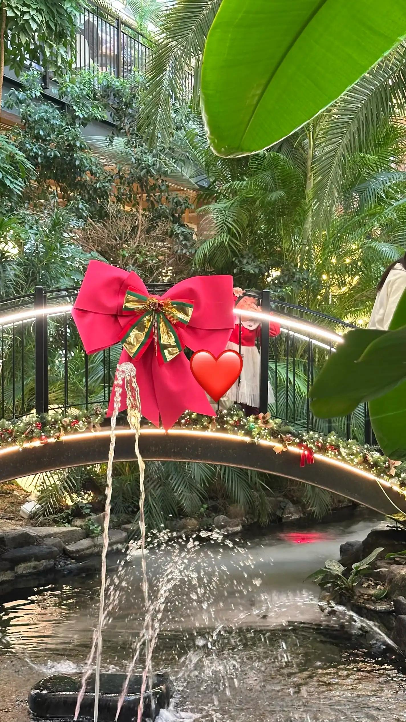 크루톡 이미지 3