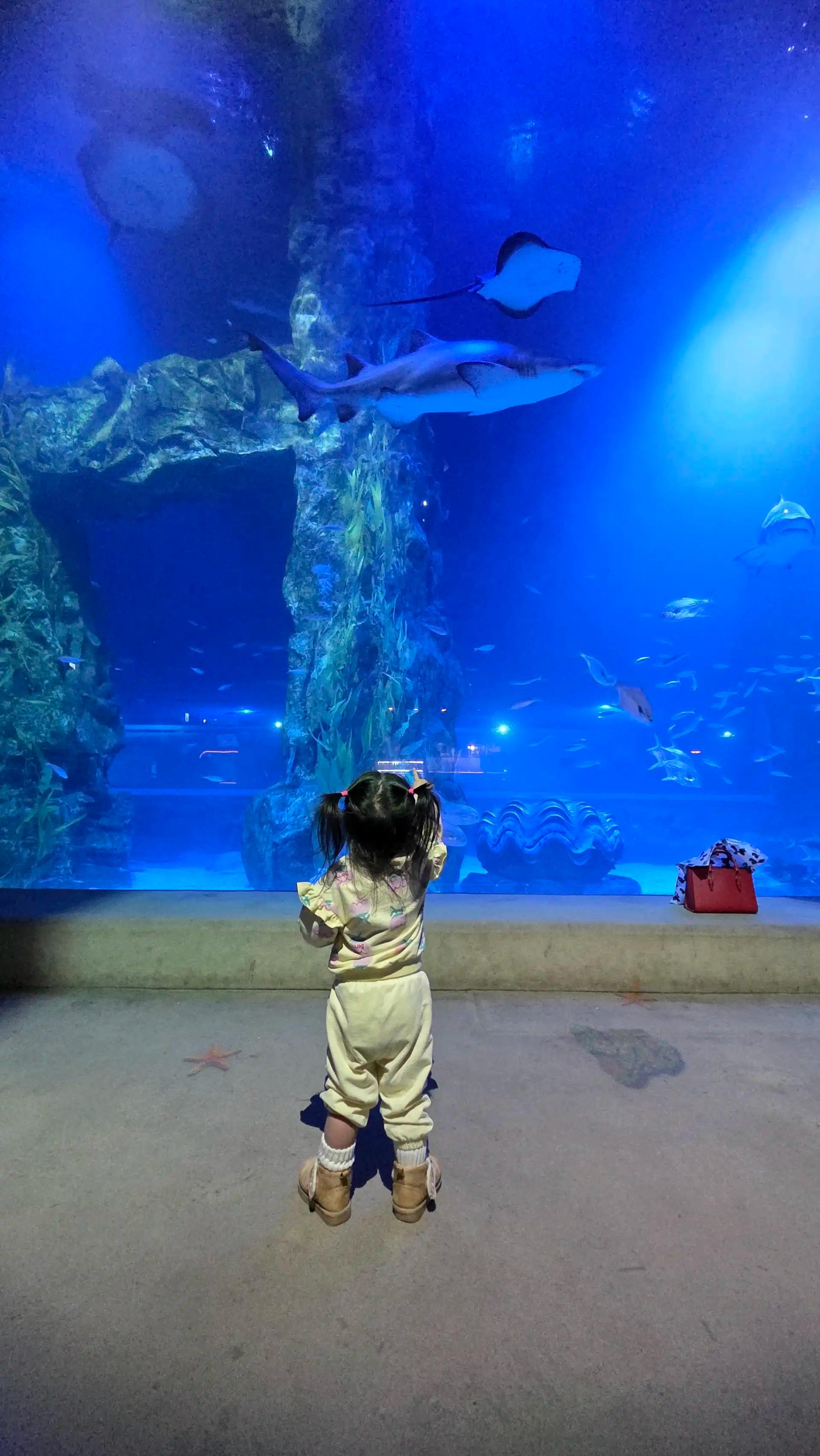 크루톡 이미지 2