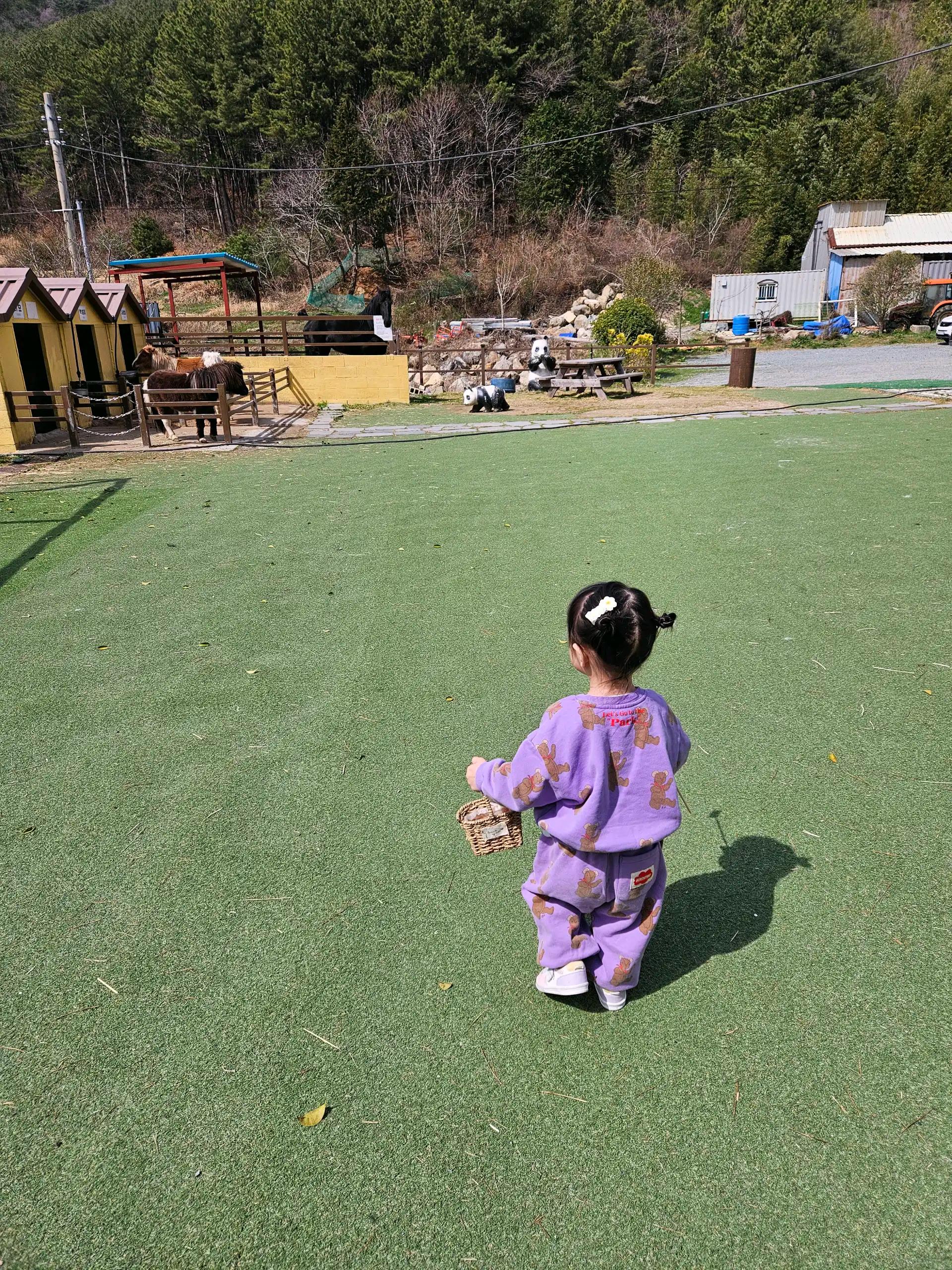 크루톡 이미지 1