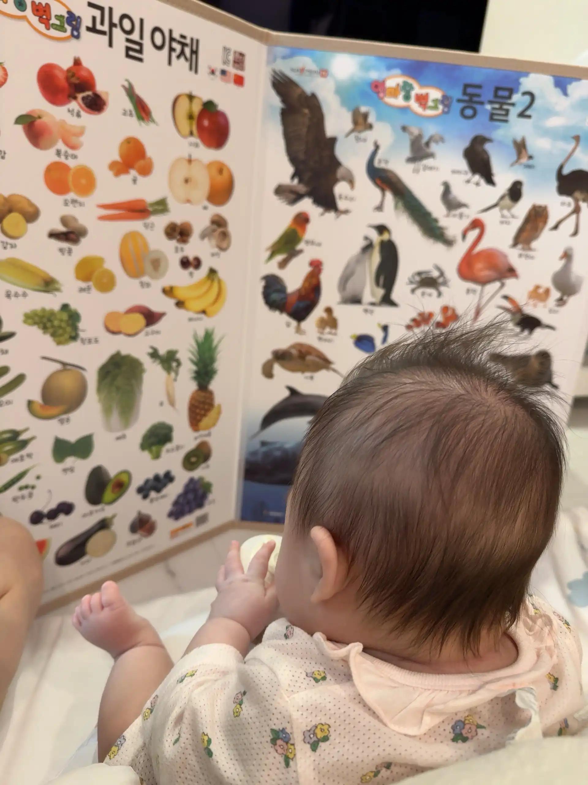 크루톡 이미지 1