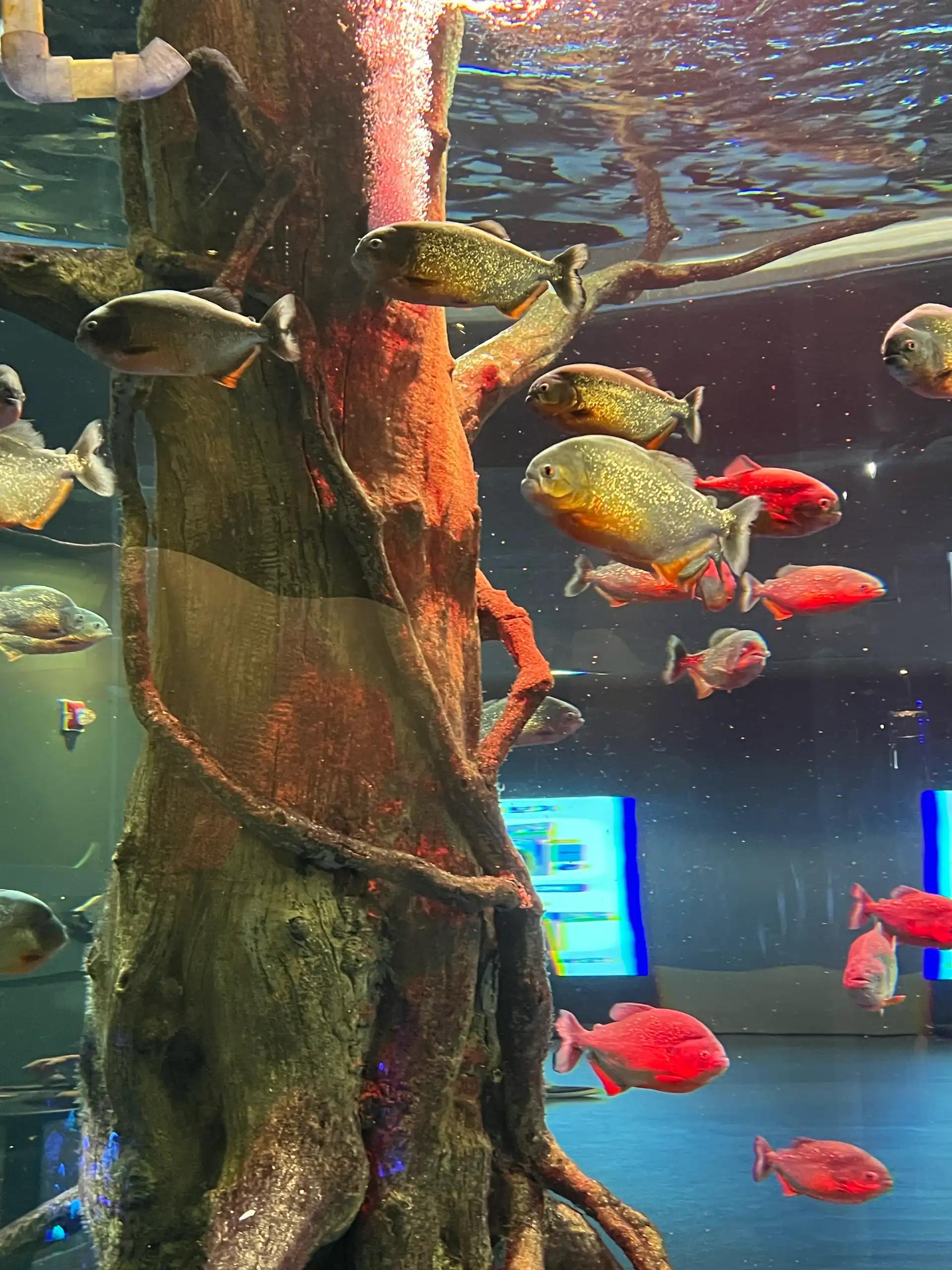 크루톡 이미지 1