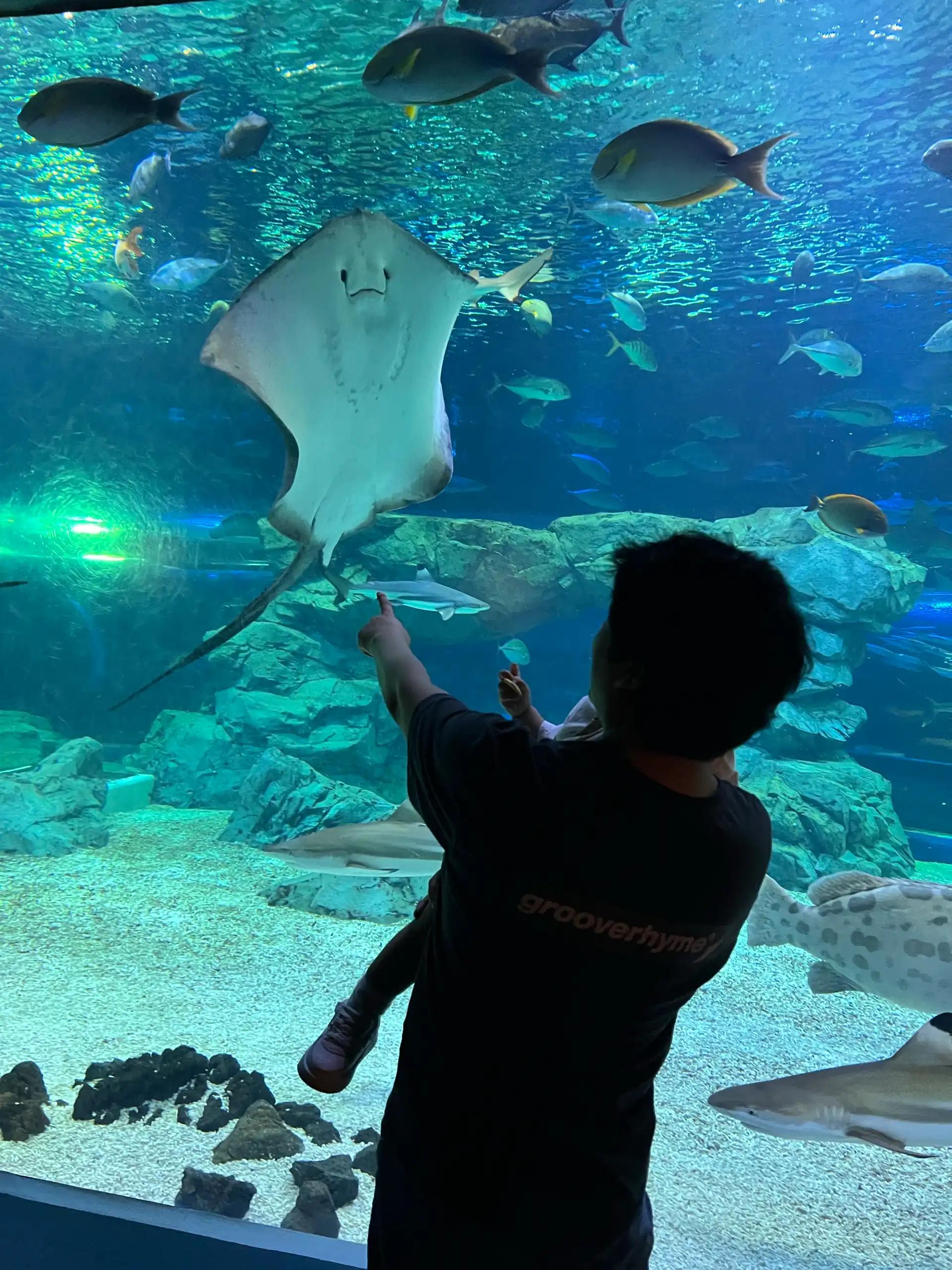 크루톡 이미지 11