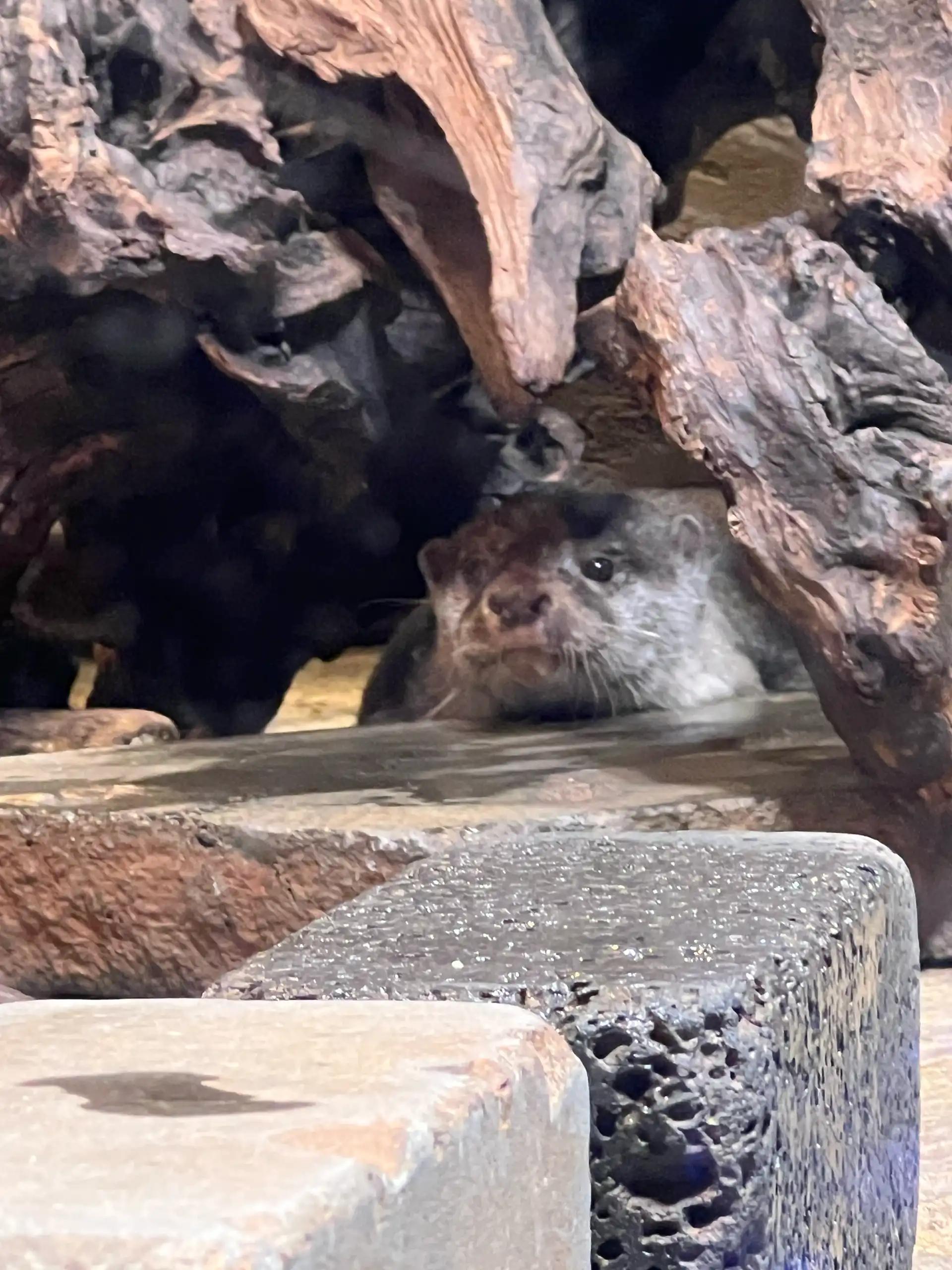 크루톡 이미지 3