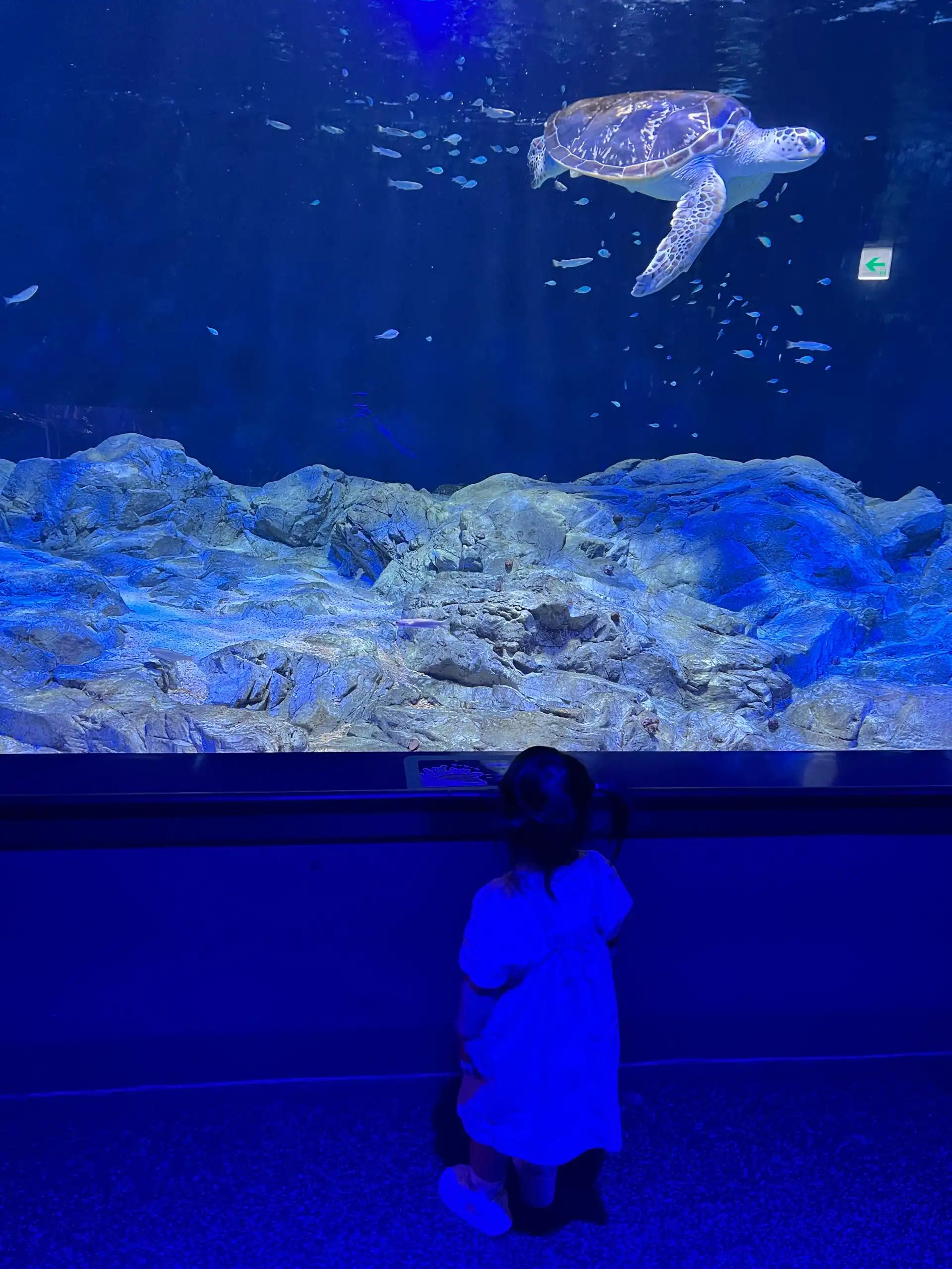 크루톡 이미지 4