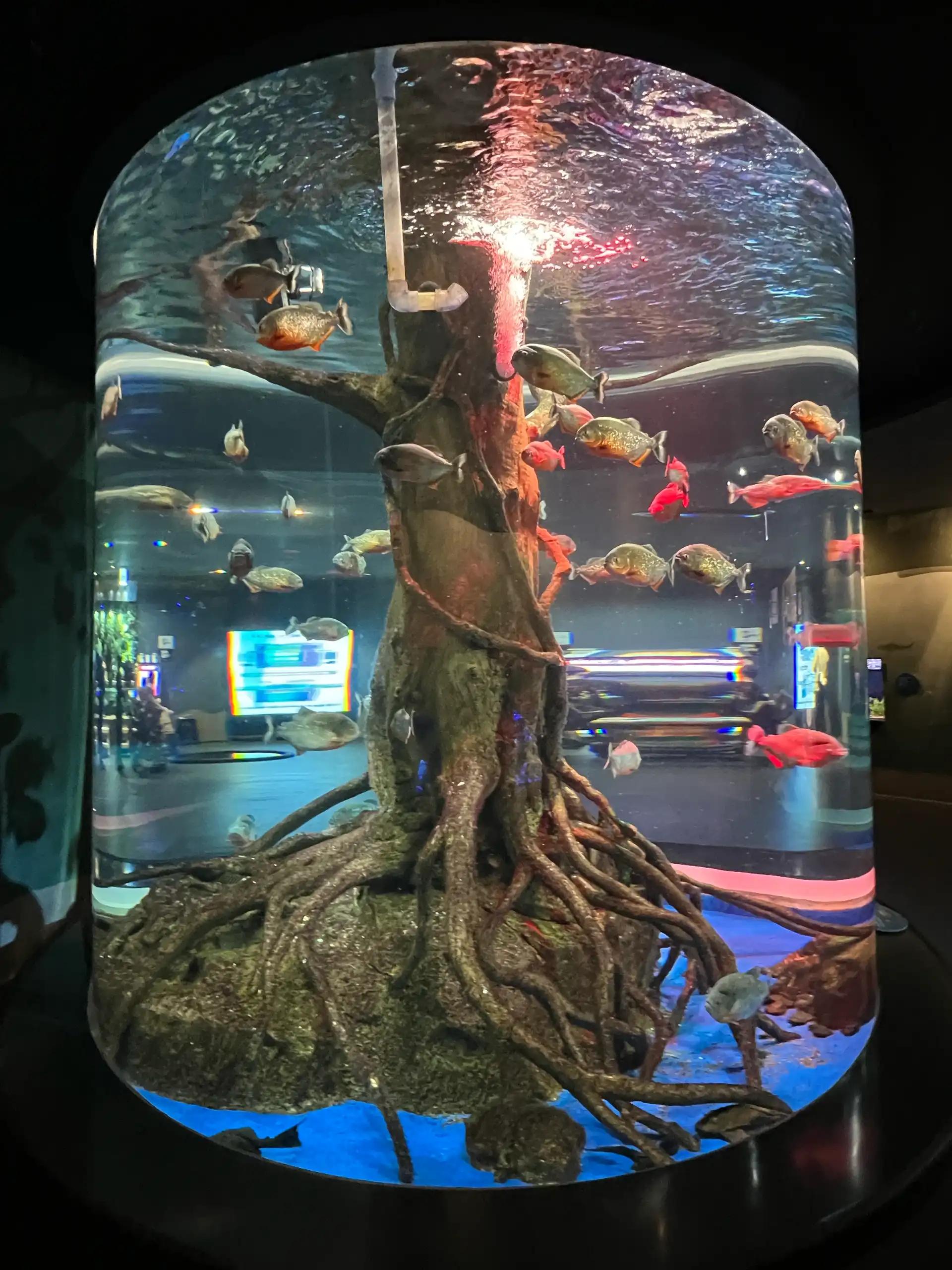 크루톡 이미지 5