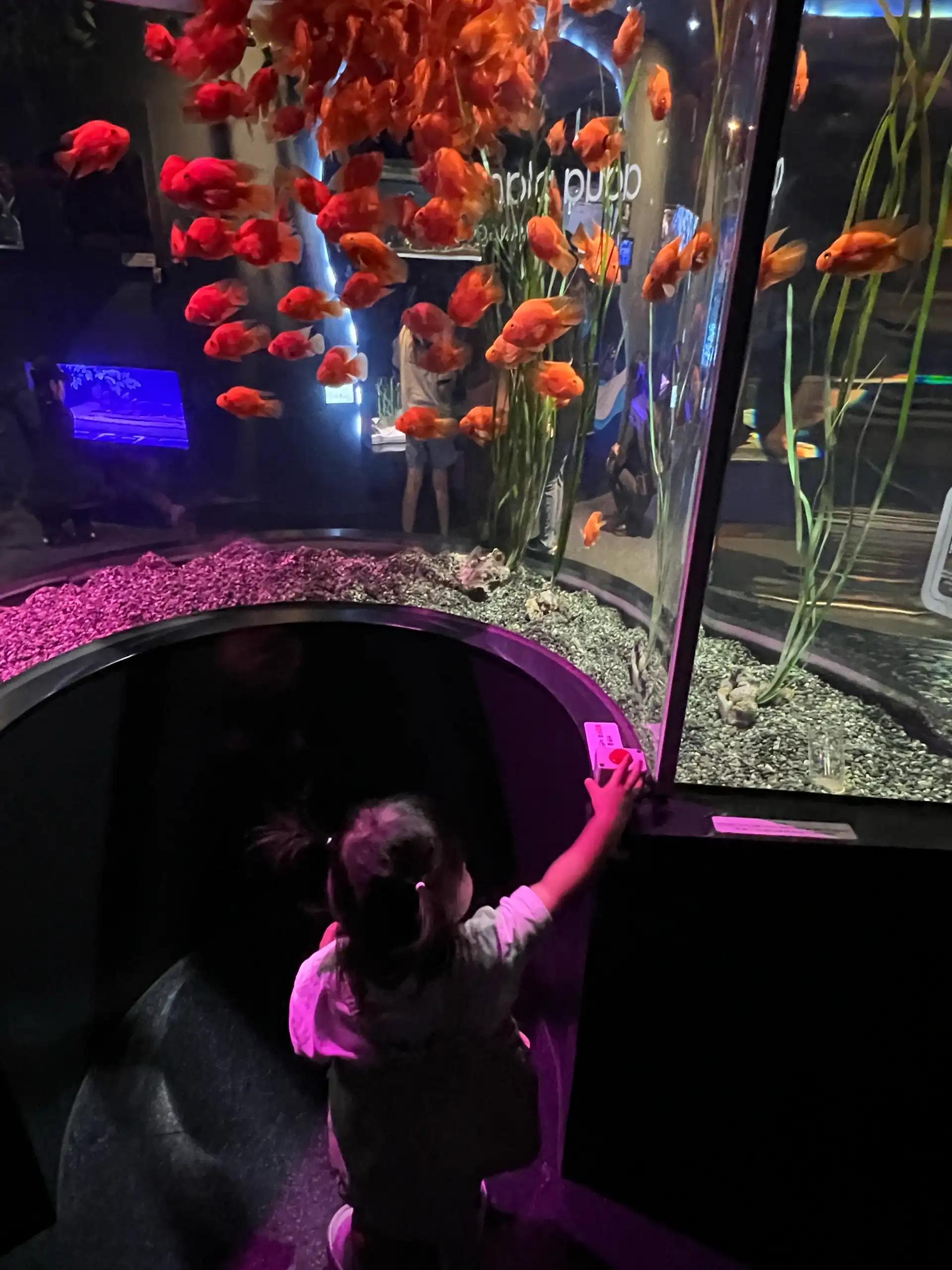 크루톡 이미지 6