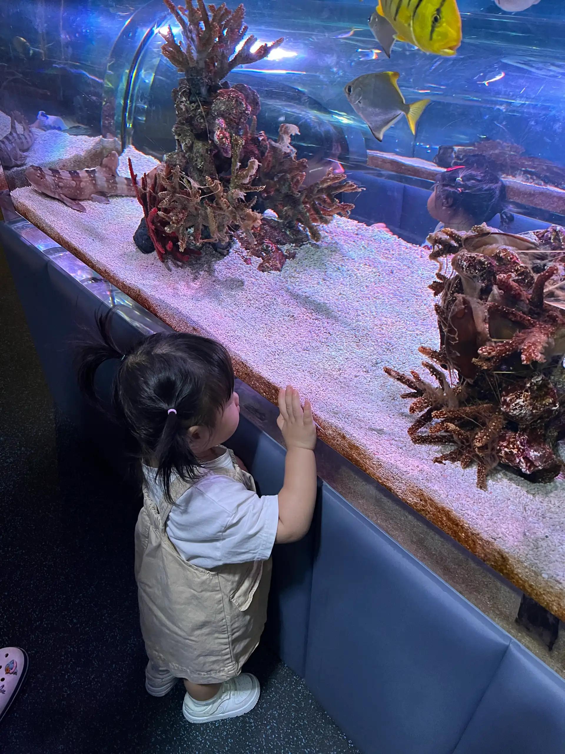 크루톡 이미지 7