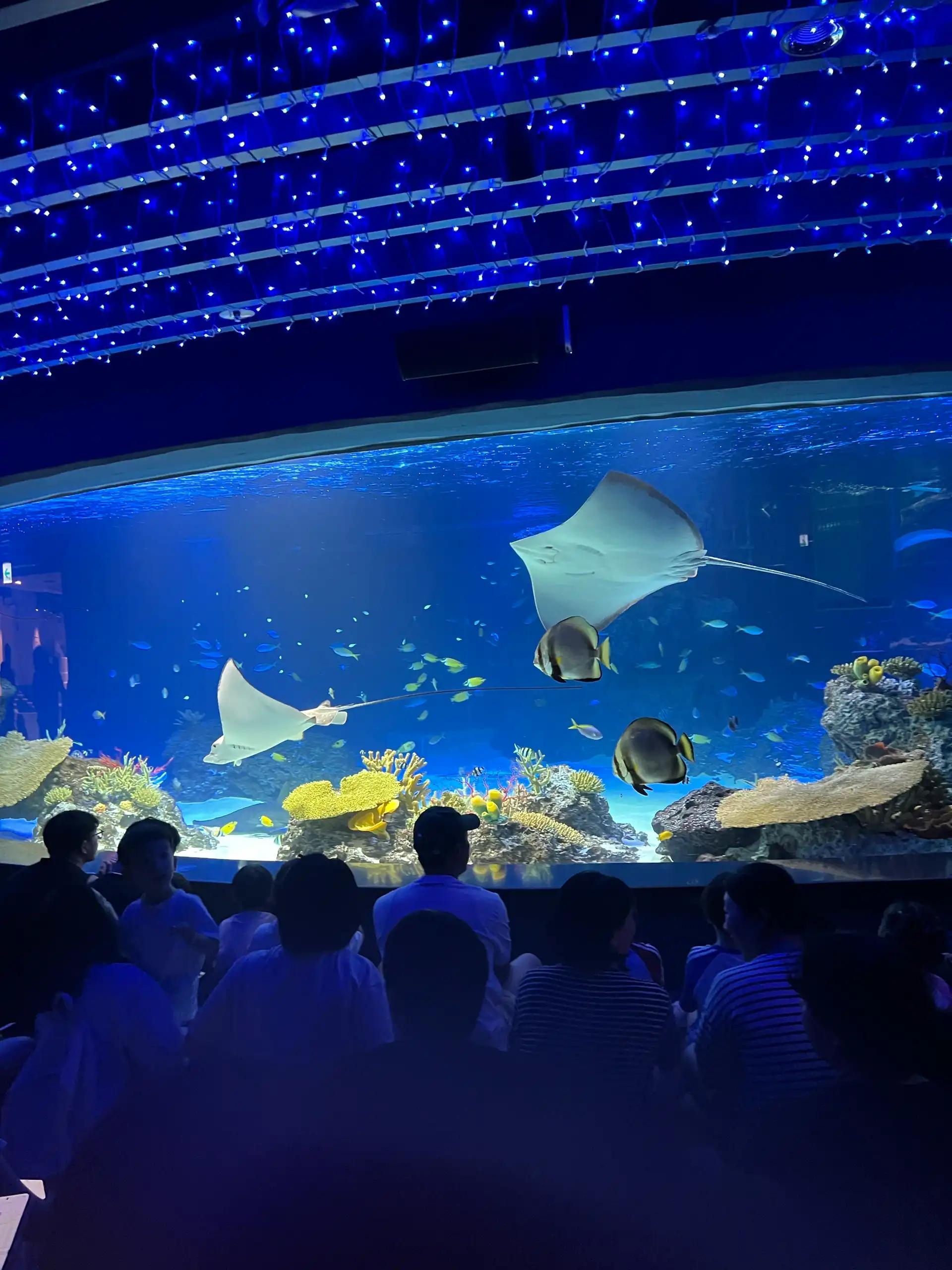 크루톡 이미지 9