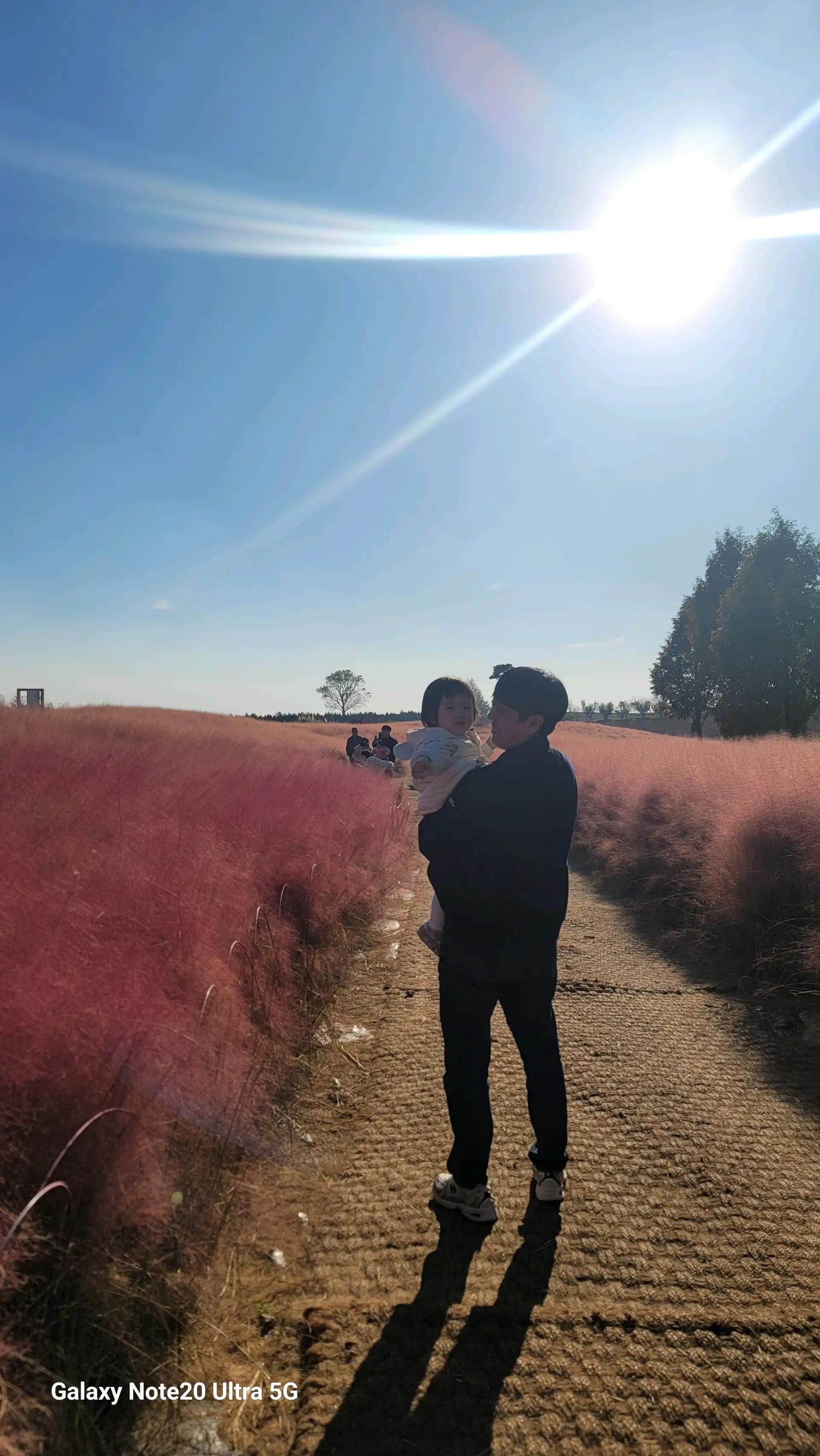 크루톡 이미지 3