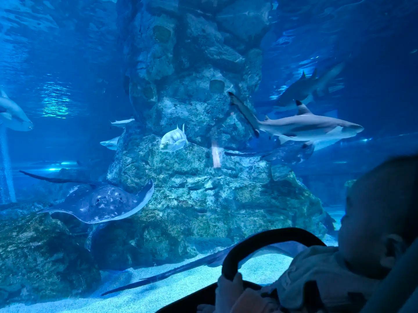 크루톡 이미지 1