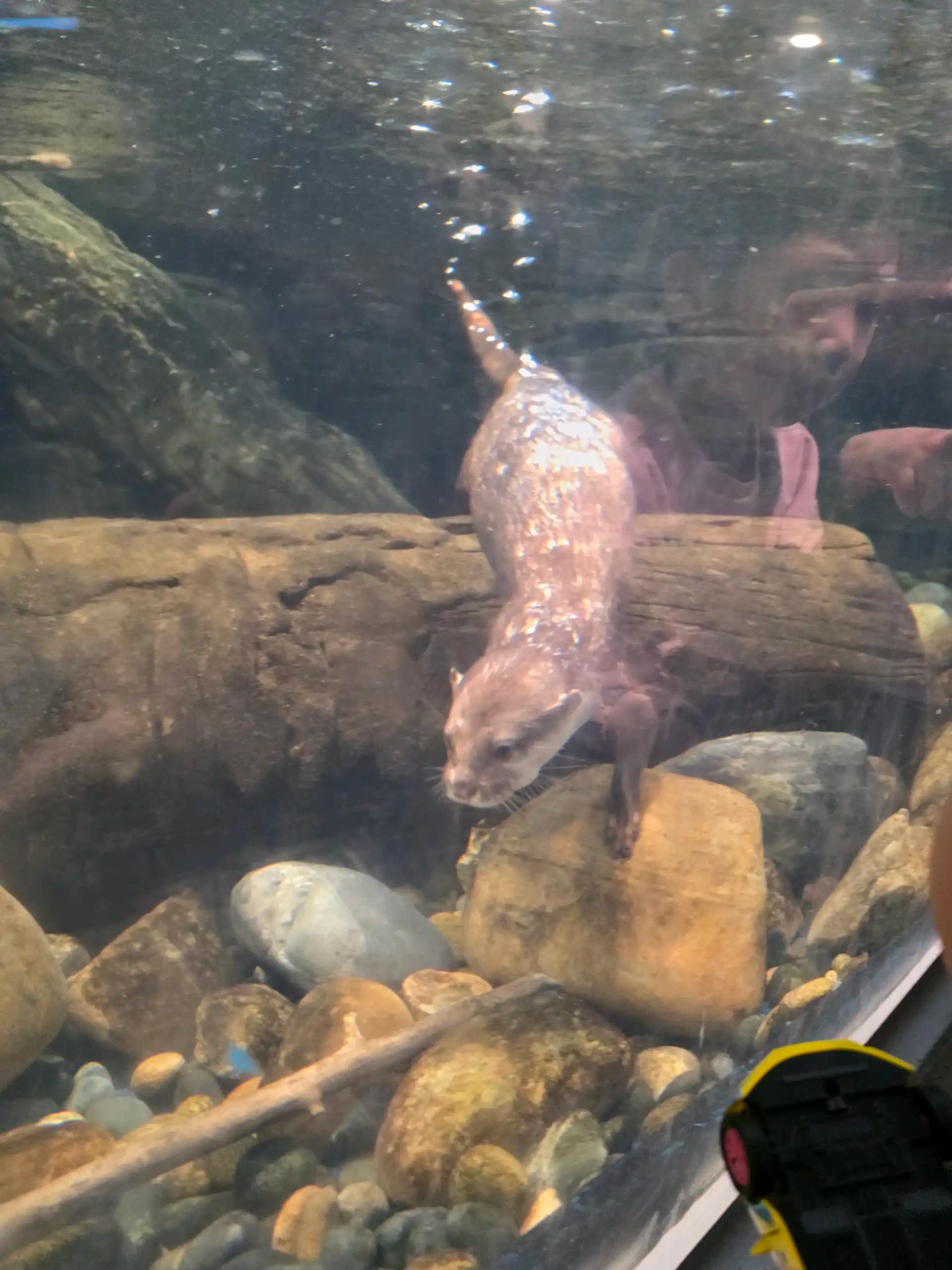 ํฌ๋ฃจํก ์ด๋ฏธ์ง 11