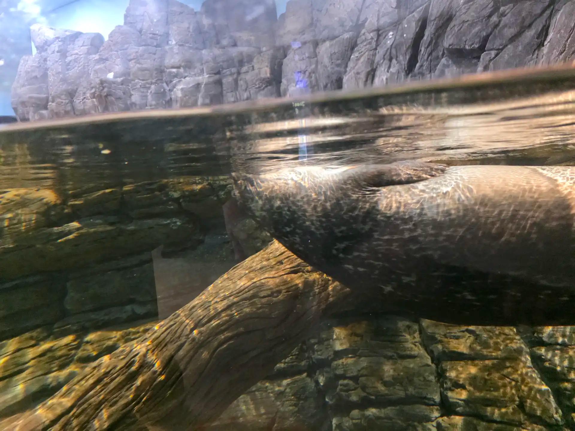 ํฌ๋ฃจํก ์ด๋ฏธ์ง 12