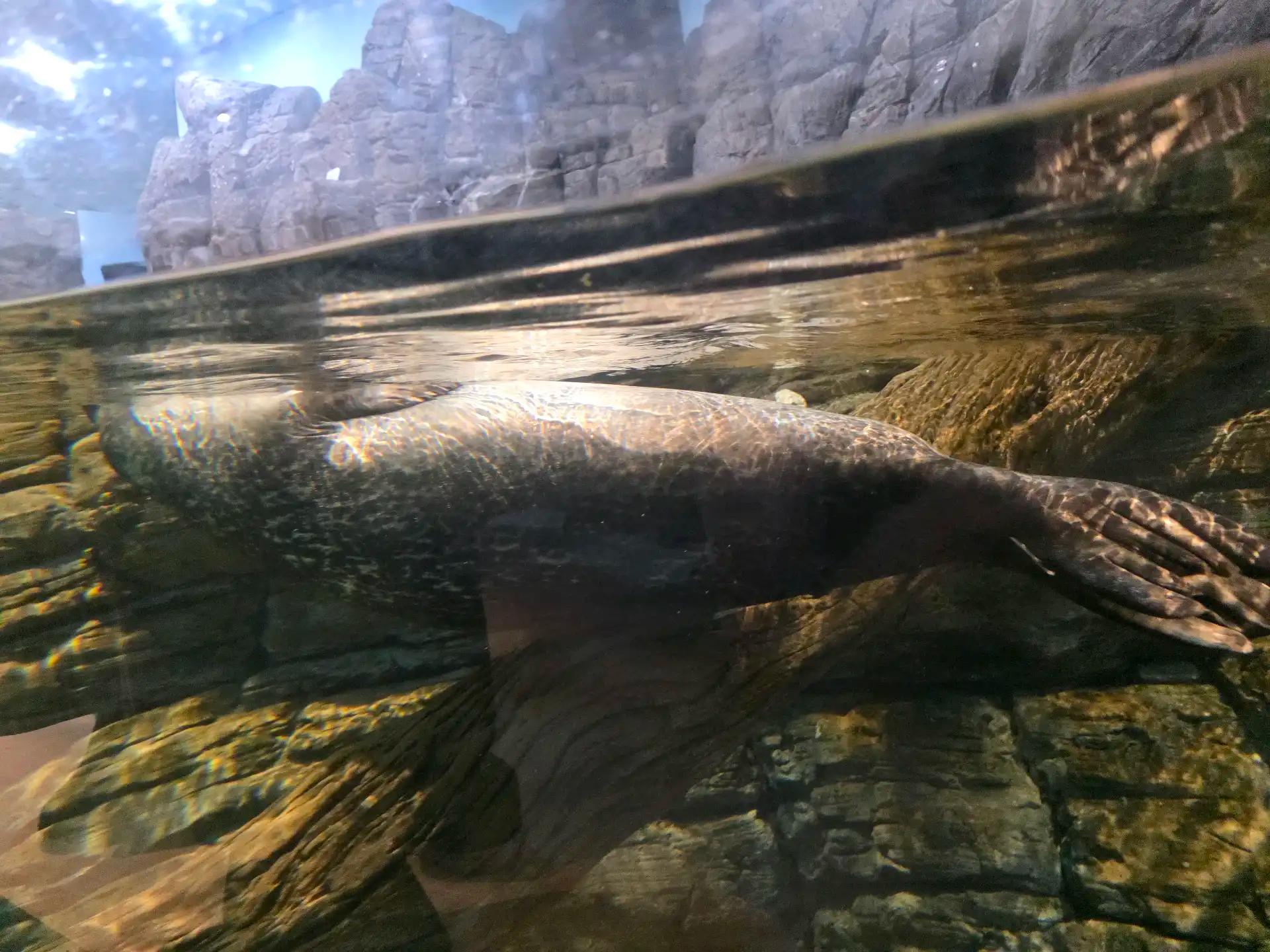 ํฌ๋ฃจํก ์ด๋ฏธ์ง 13