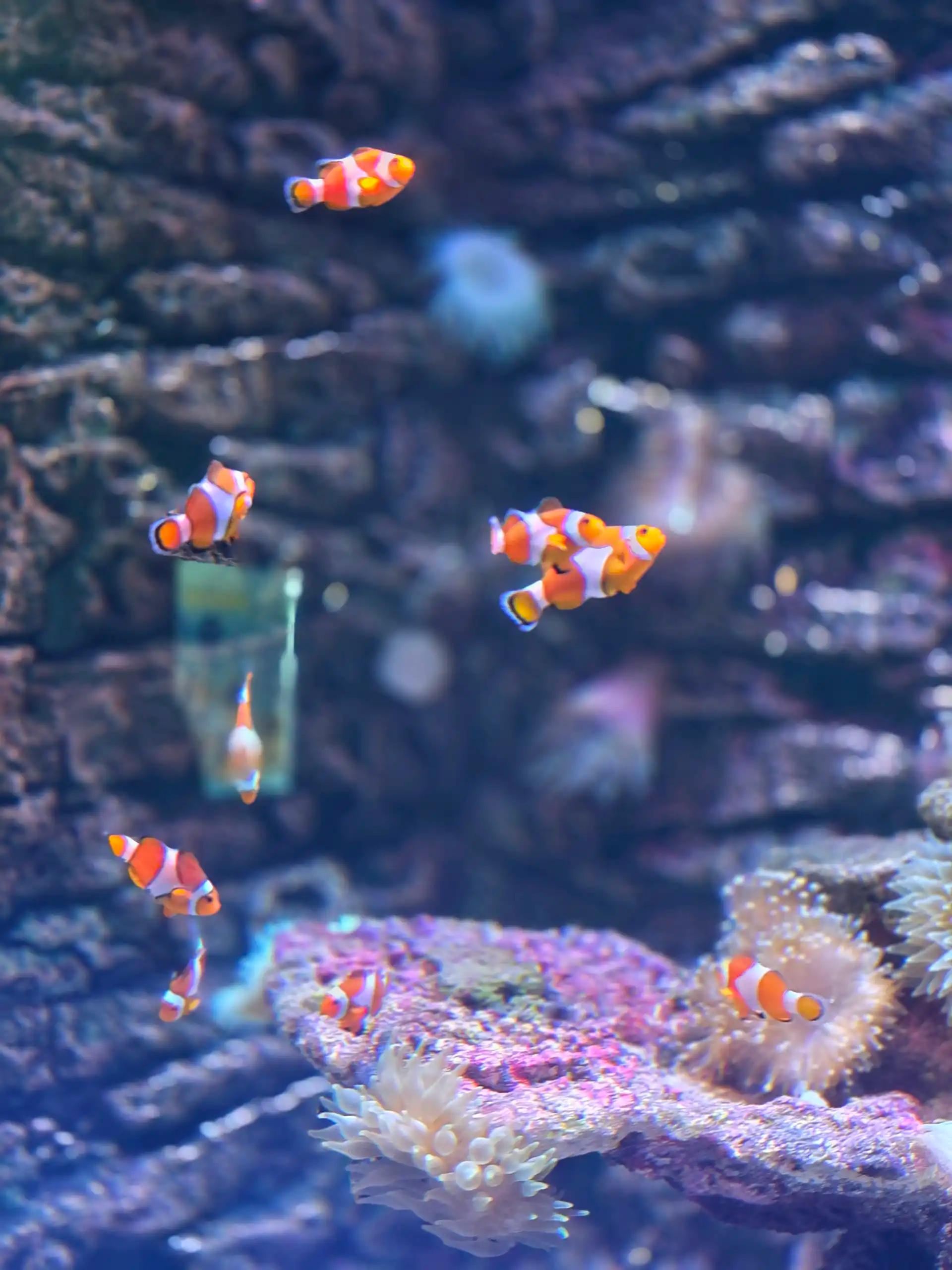 ํฌ๋ฃจํก ์ด๋ฏธ์ง 3