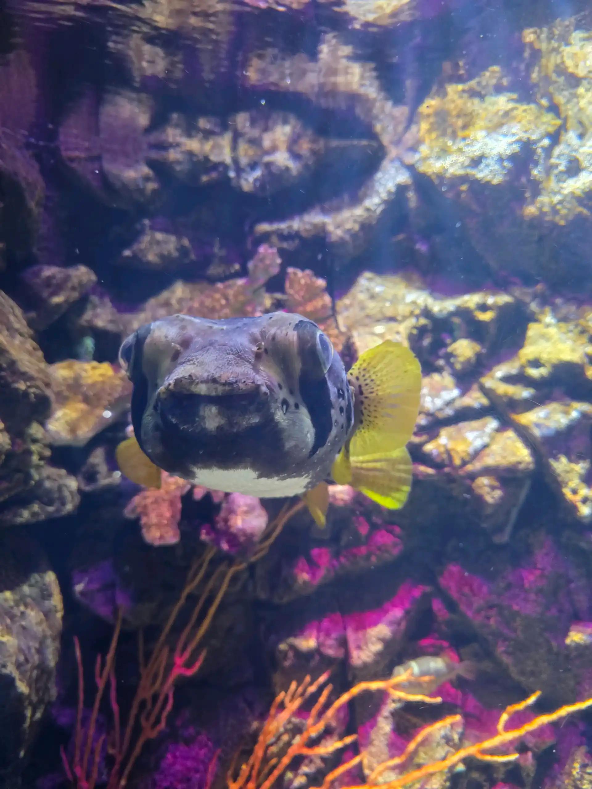 ํฌ๋ฃจํก ์ด๋ฏธ์ง 4