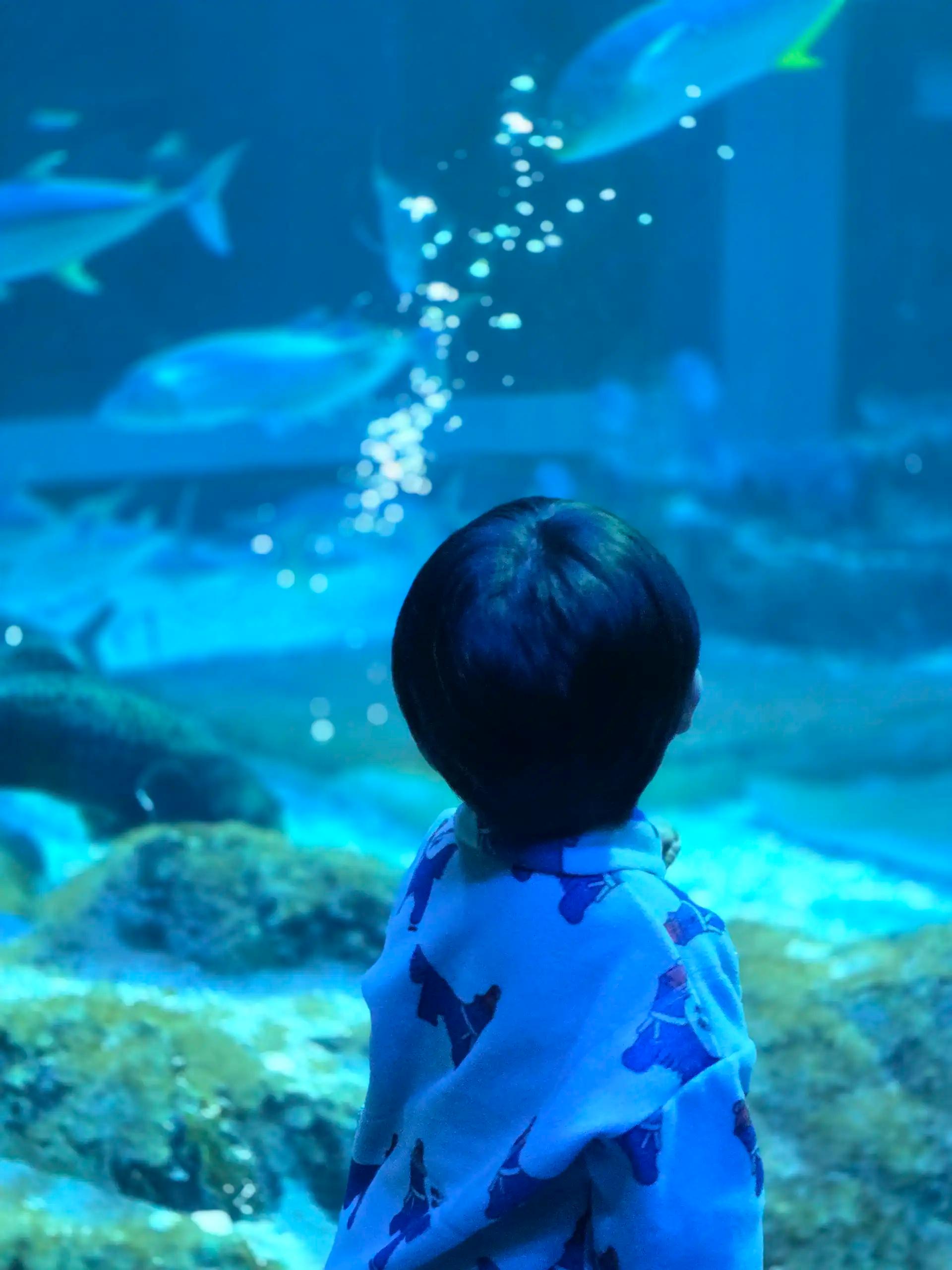 ํฌ๋ฃจํก ์ด๋ฏธ์ง 5