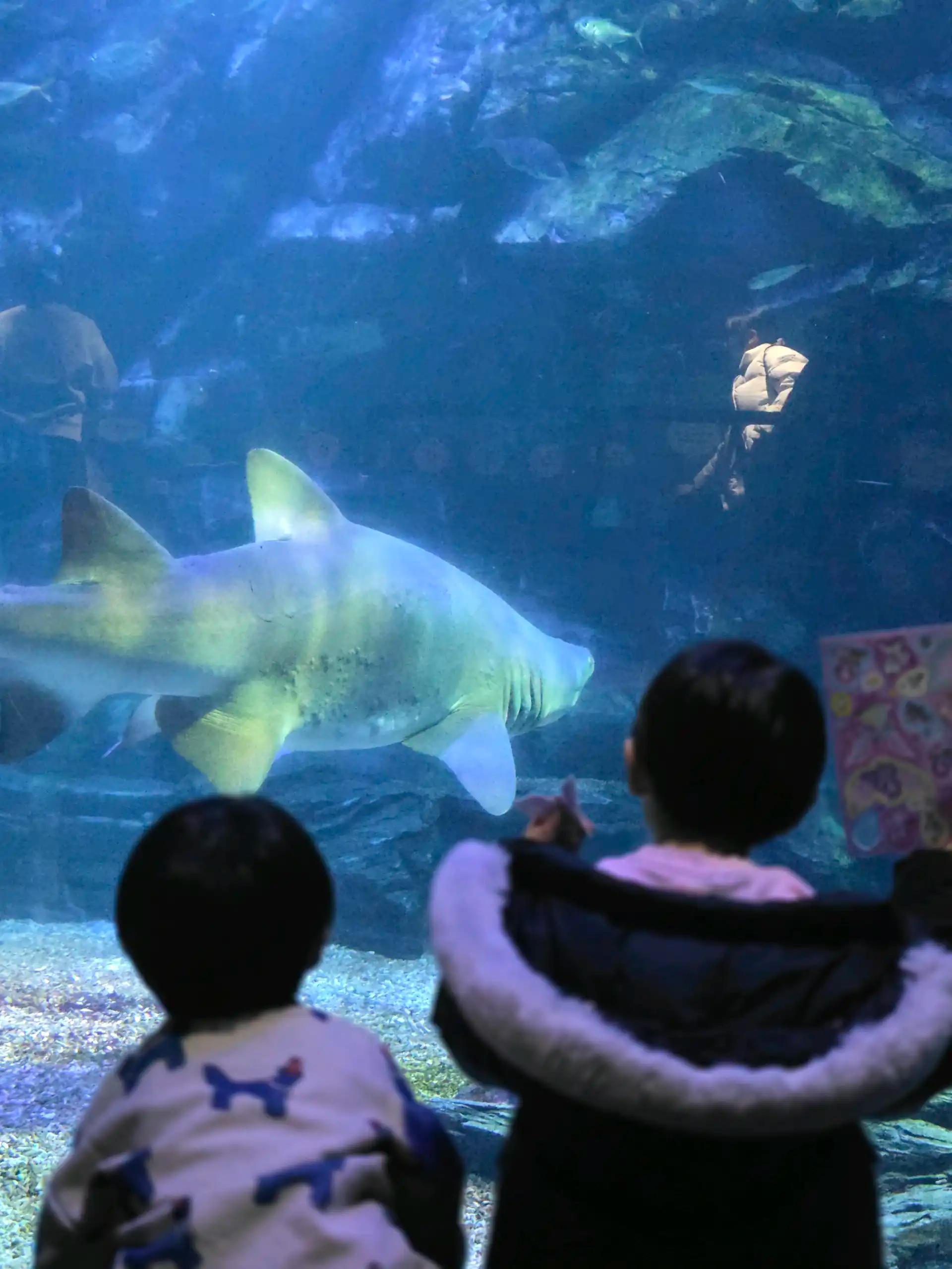 ํฌ๋ฃจํก ์ด๋ฏธ์ง 6