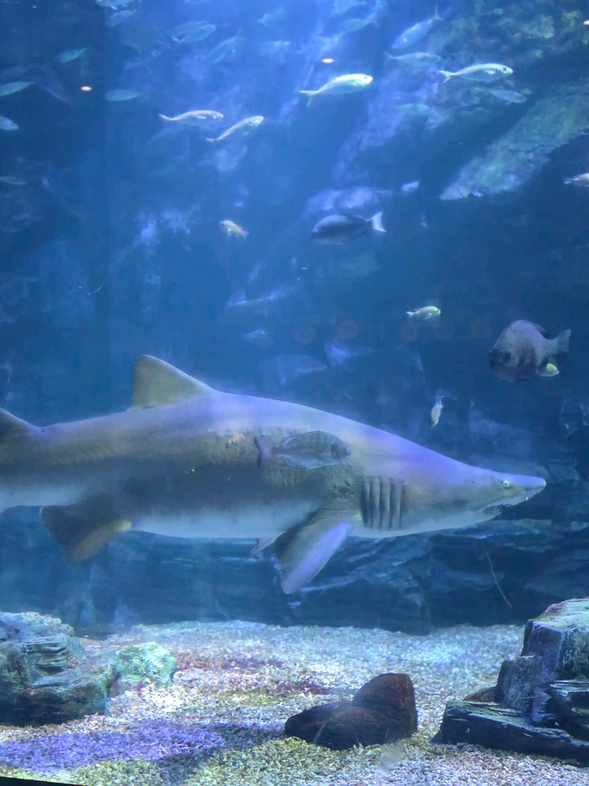 ํฌ๋ฃจํก ์ด๋ฏธ์ง 7