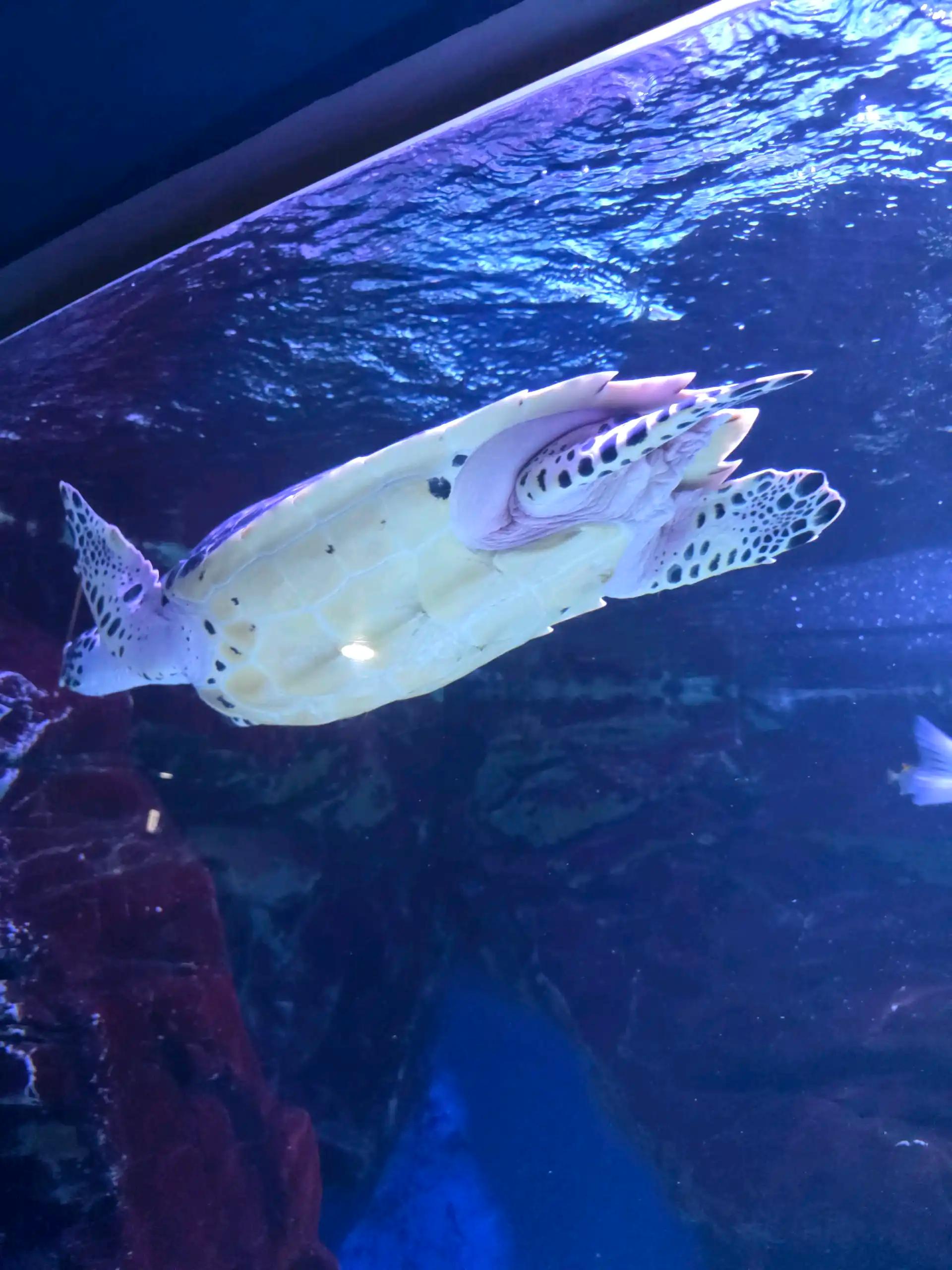 ํฌ๋ฃจํก ์ด๋ฏธ์ง 8