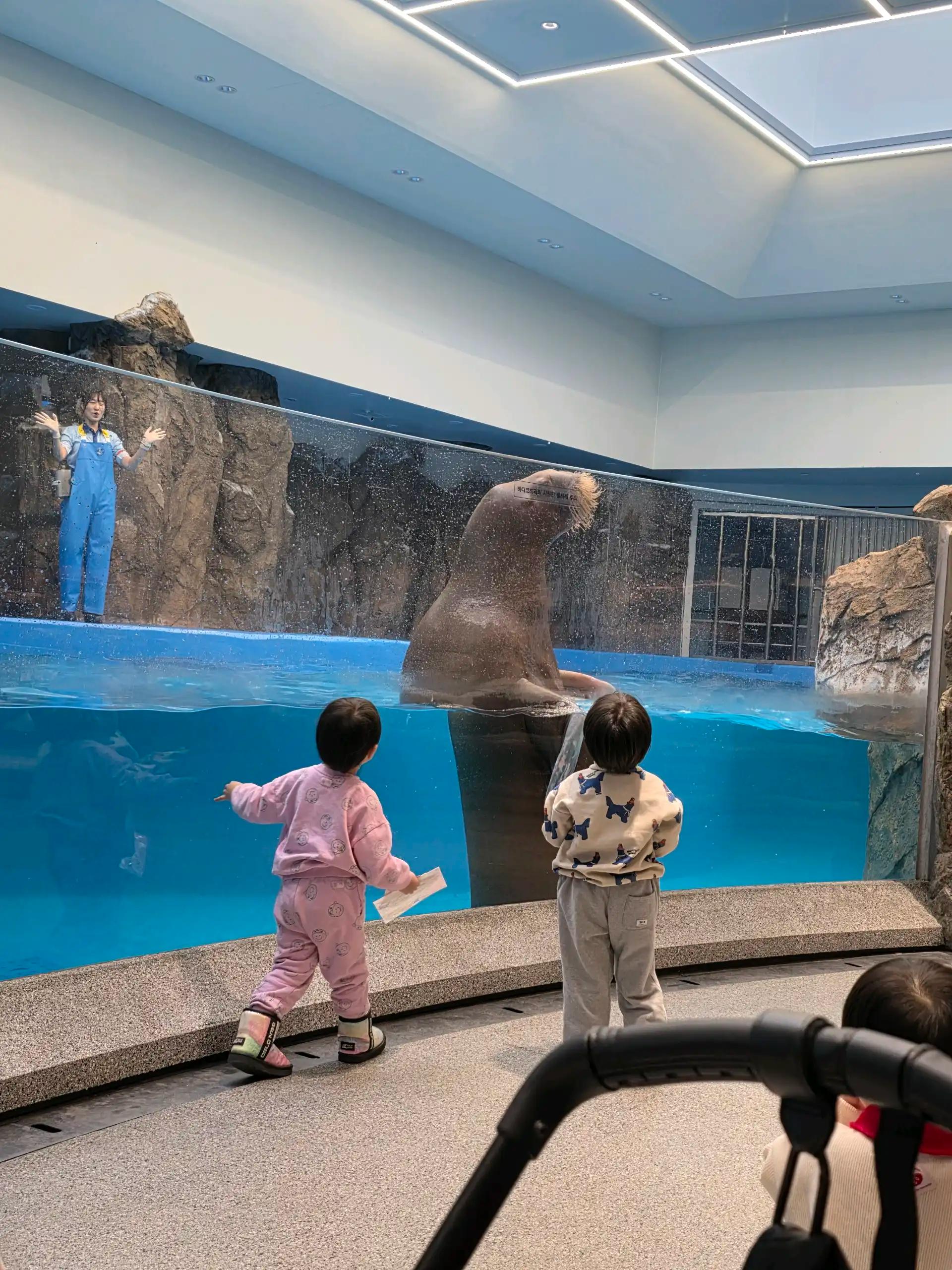 ํฌ๋ฃจํก ์ด๋ฏธ์ง 9