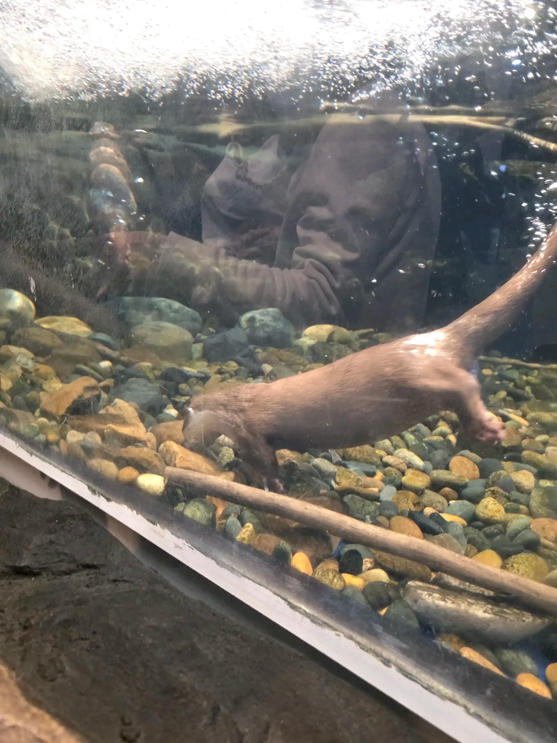 ํฌ๋ฃจํก ์ด๋ฏธ์ง 10