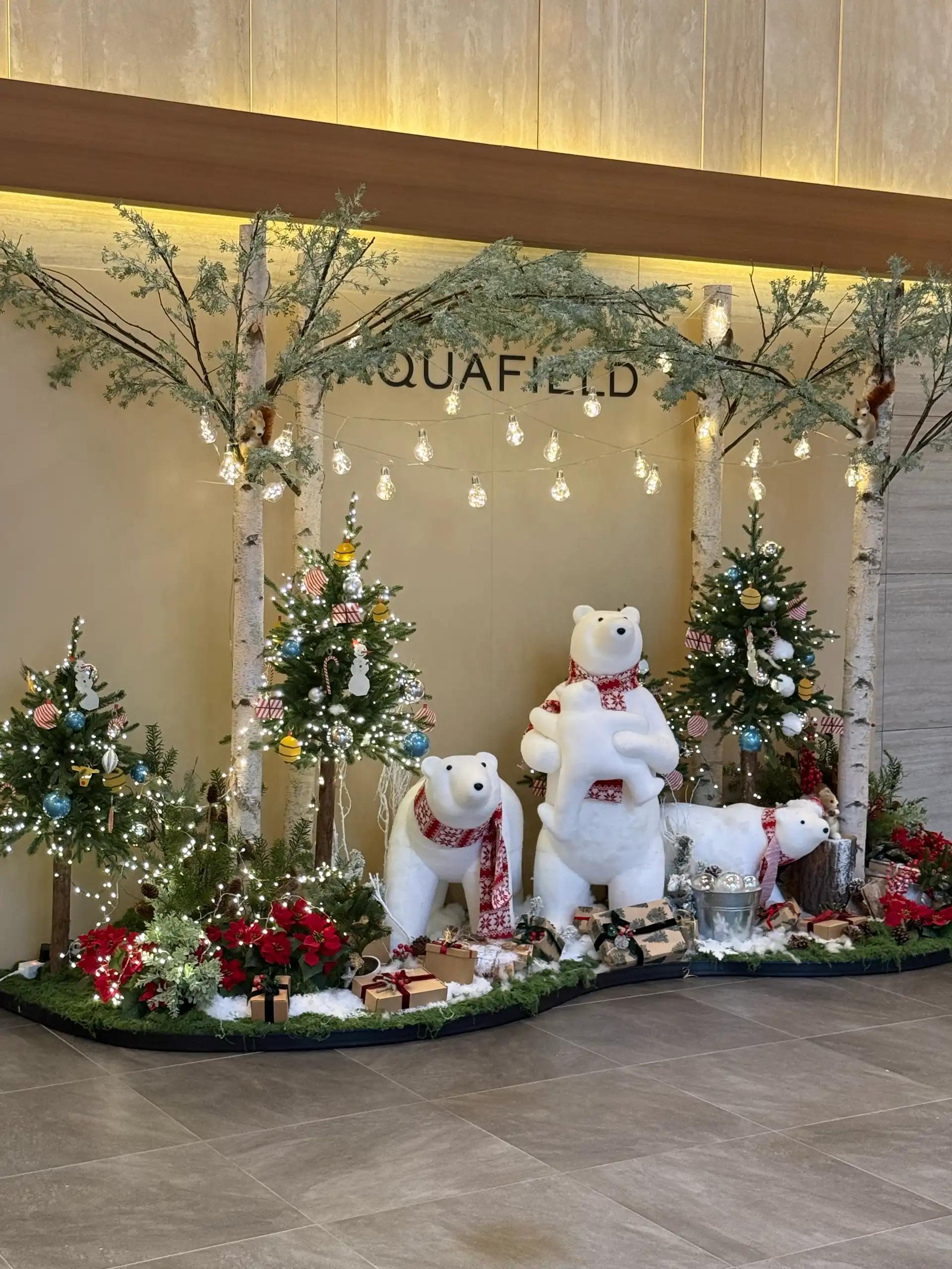 크루톡 이미지 4