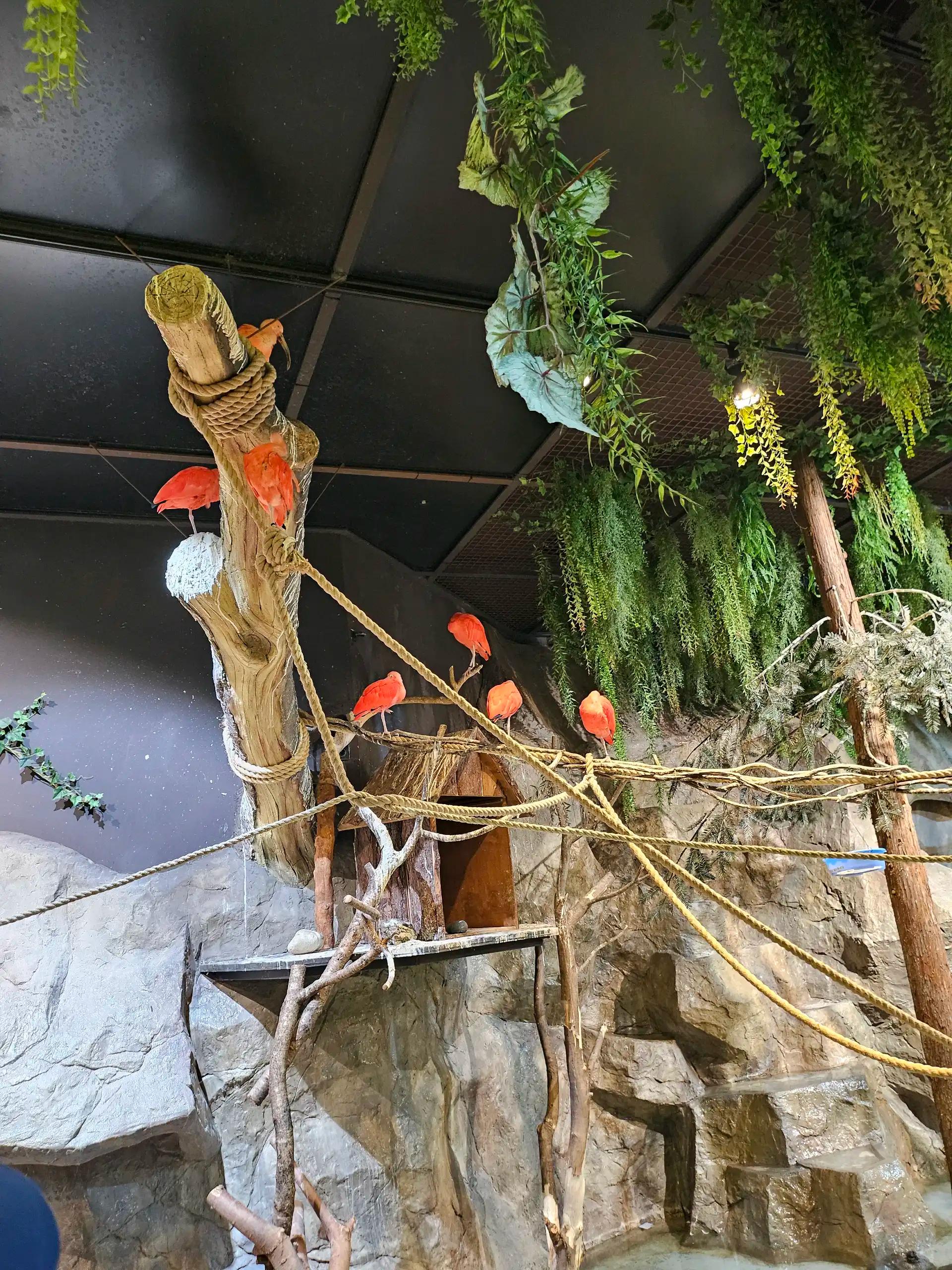 크루톡 이미지 3