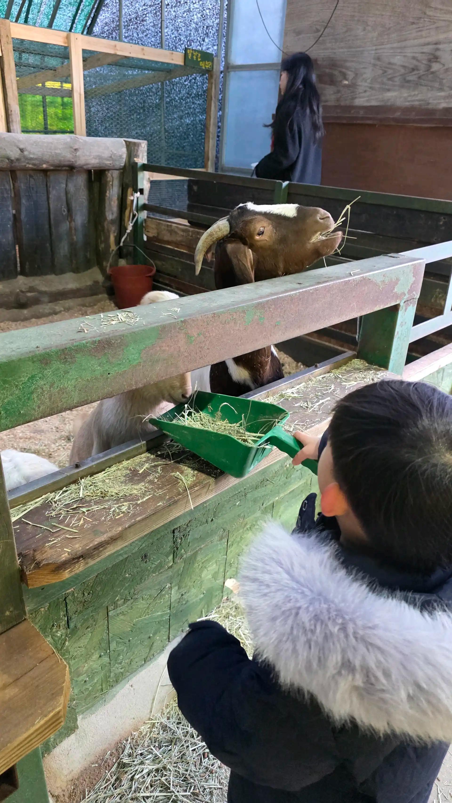 크루톡 이미지 1