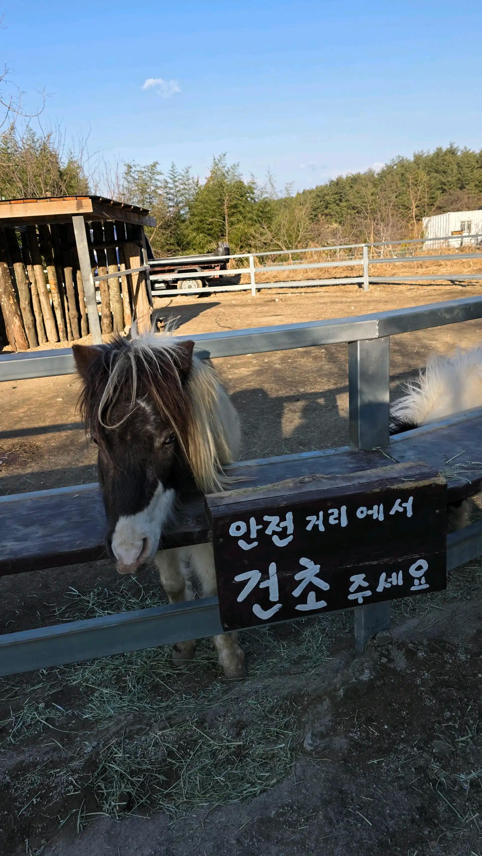 크루톡 이미지 2