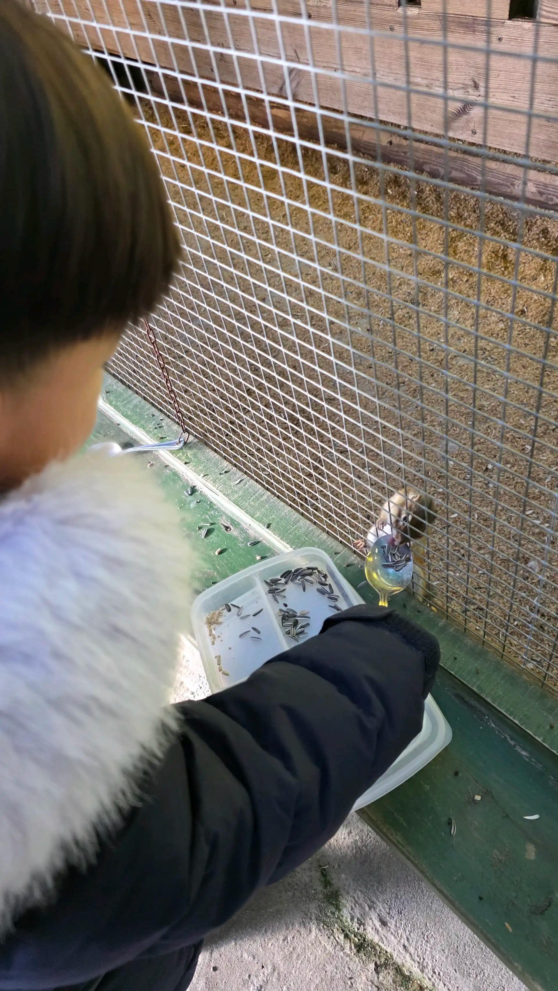 크루톡 이미지 4