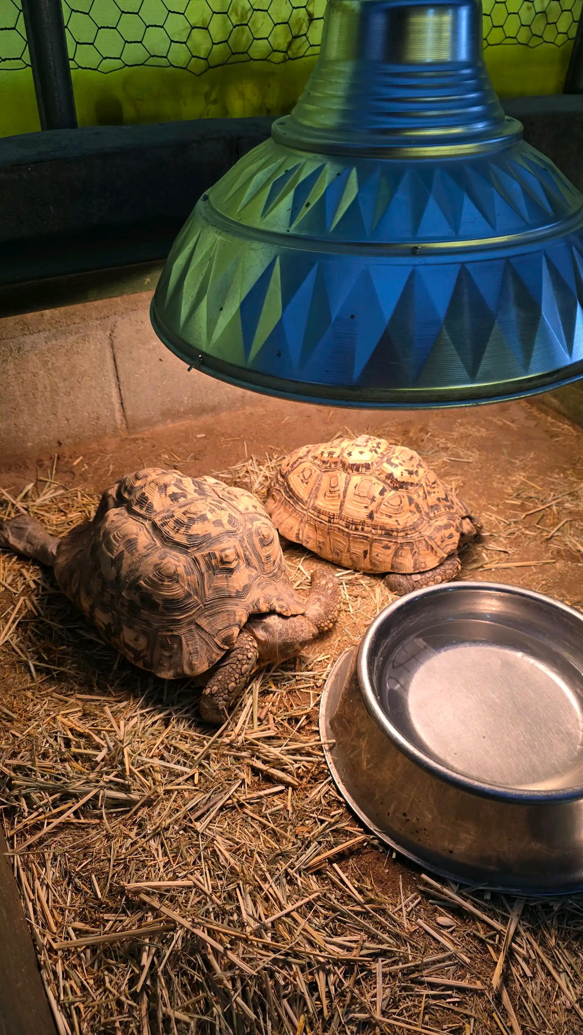 크루톡 이미지 5