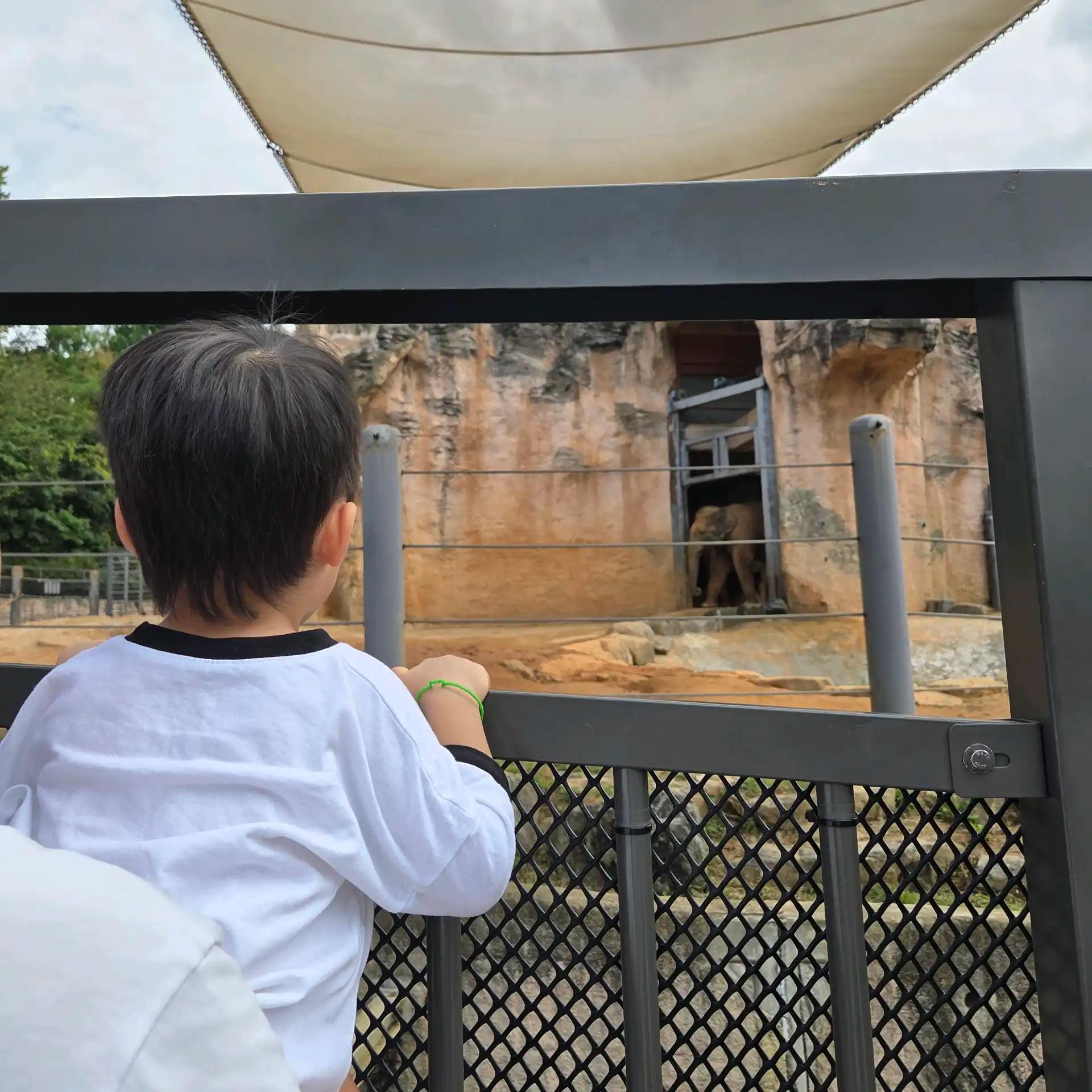 크루톡 이미지 2