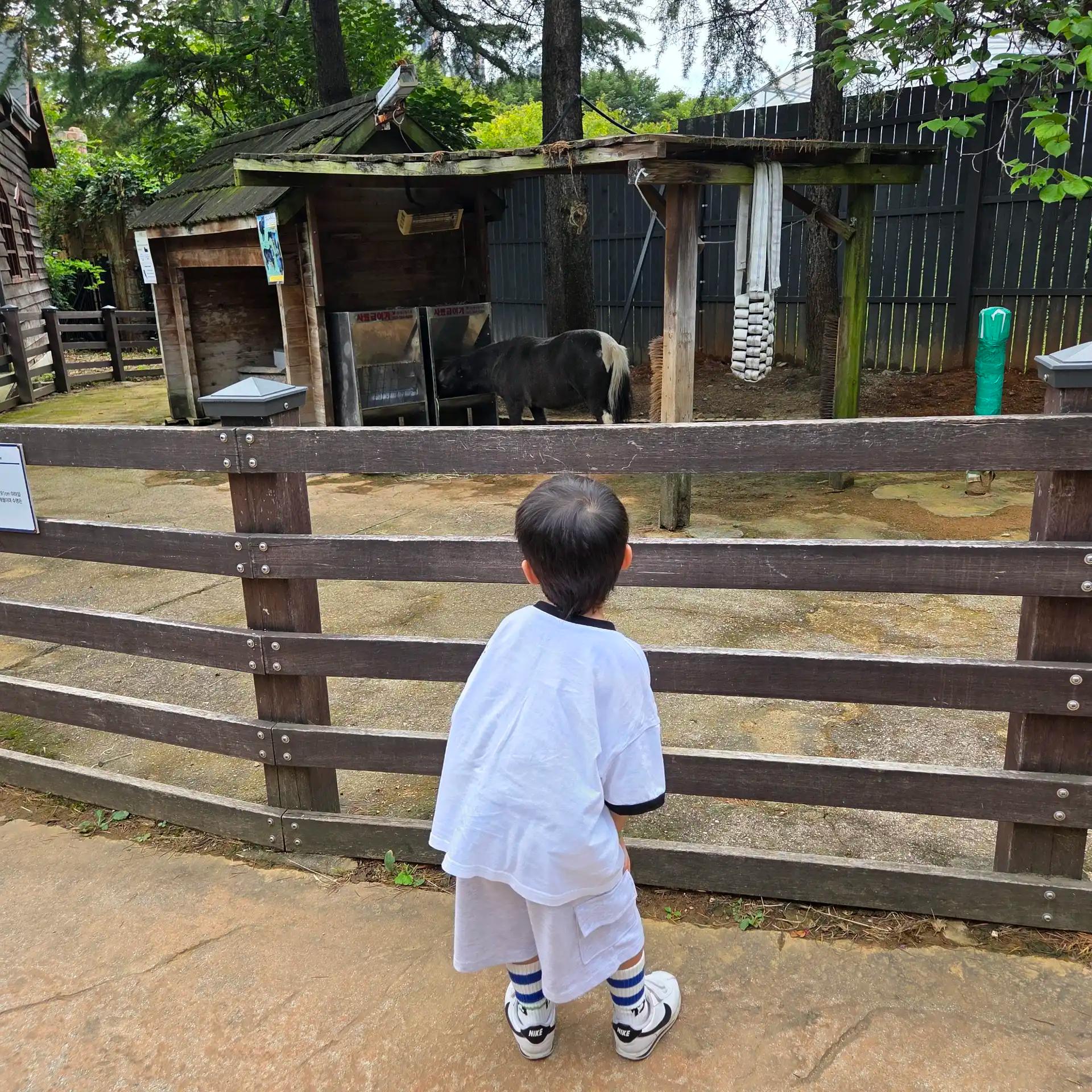 크루톡 이미지 3