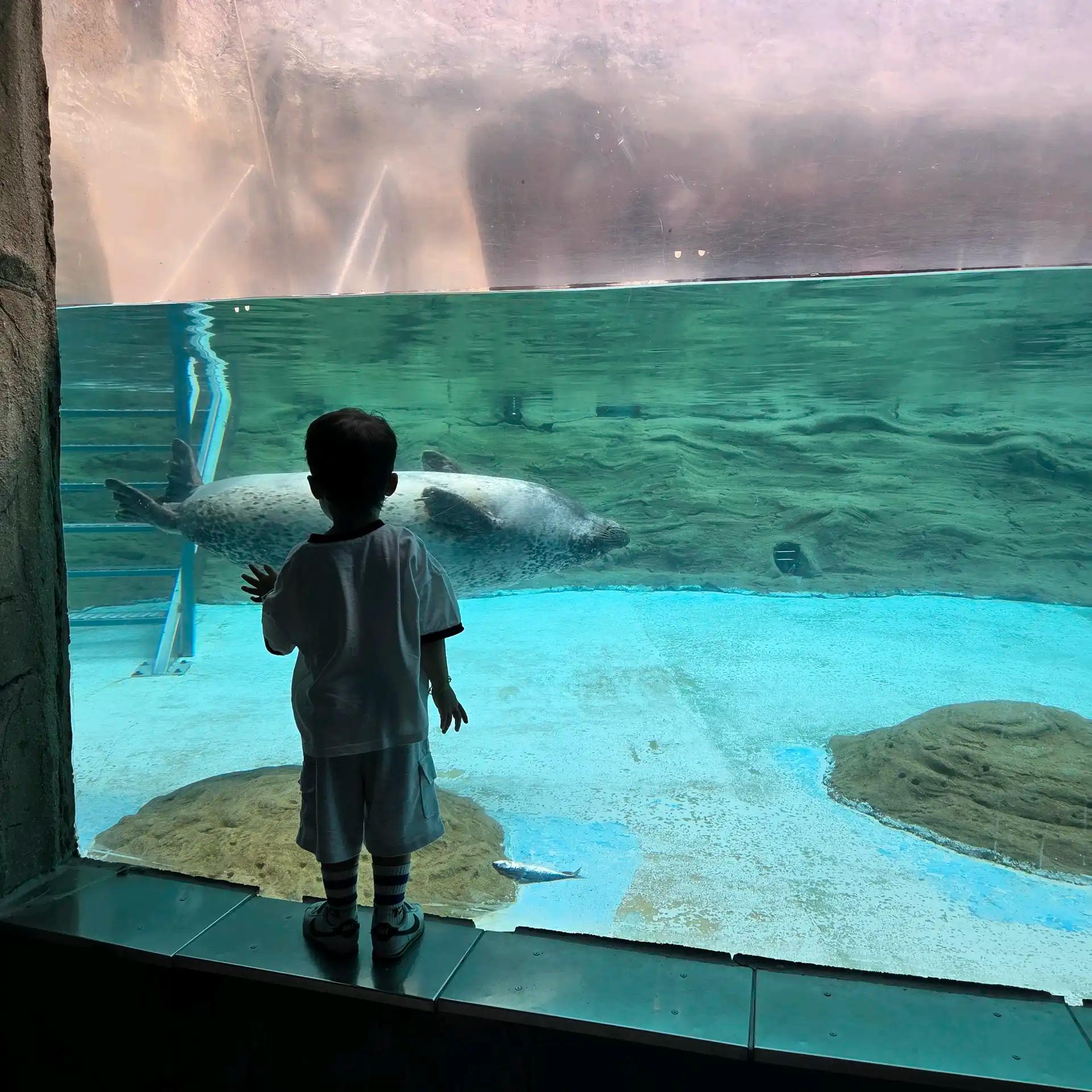 크루톡 이미지 5