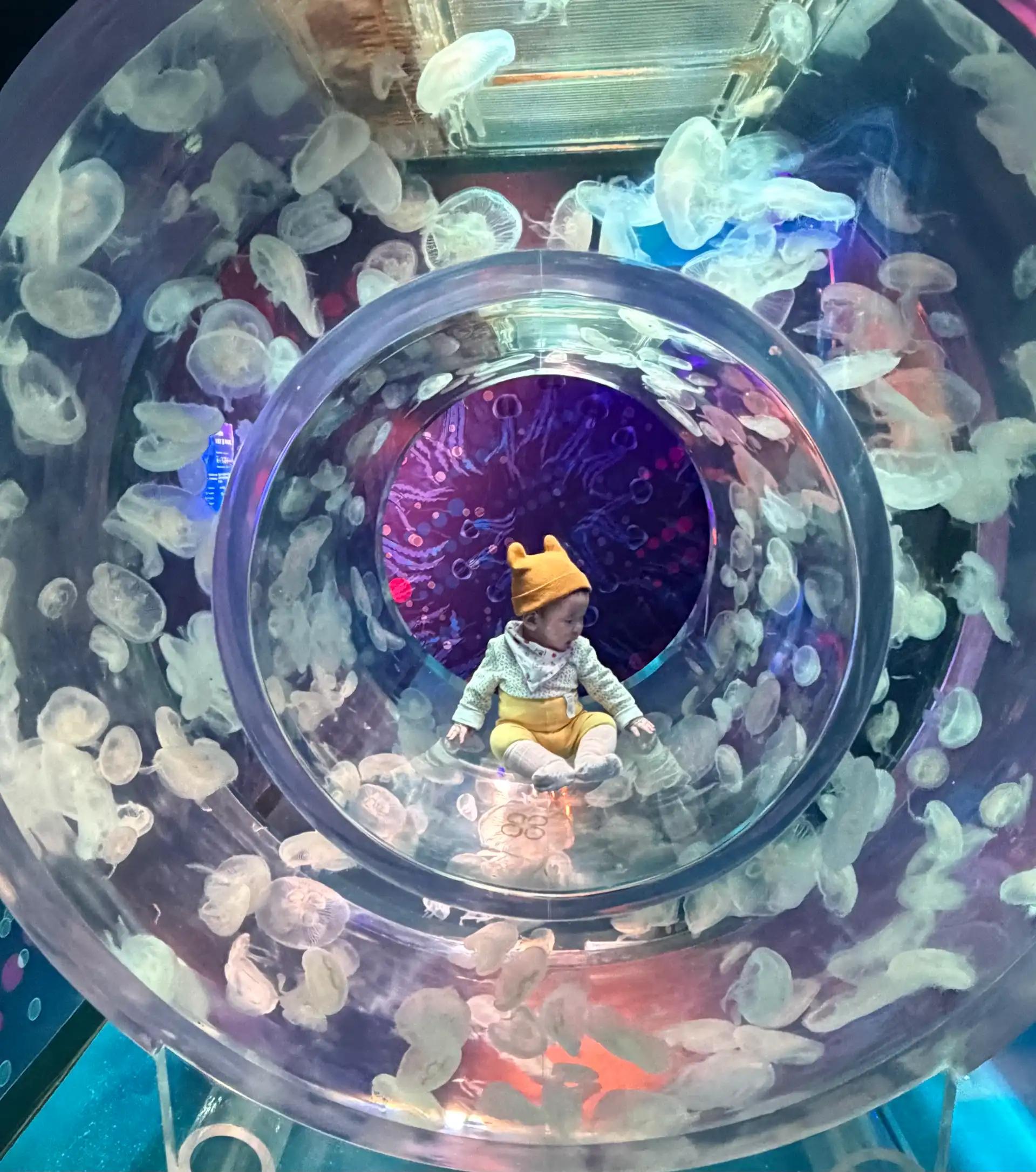 크루톡 이미지 1