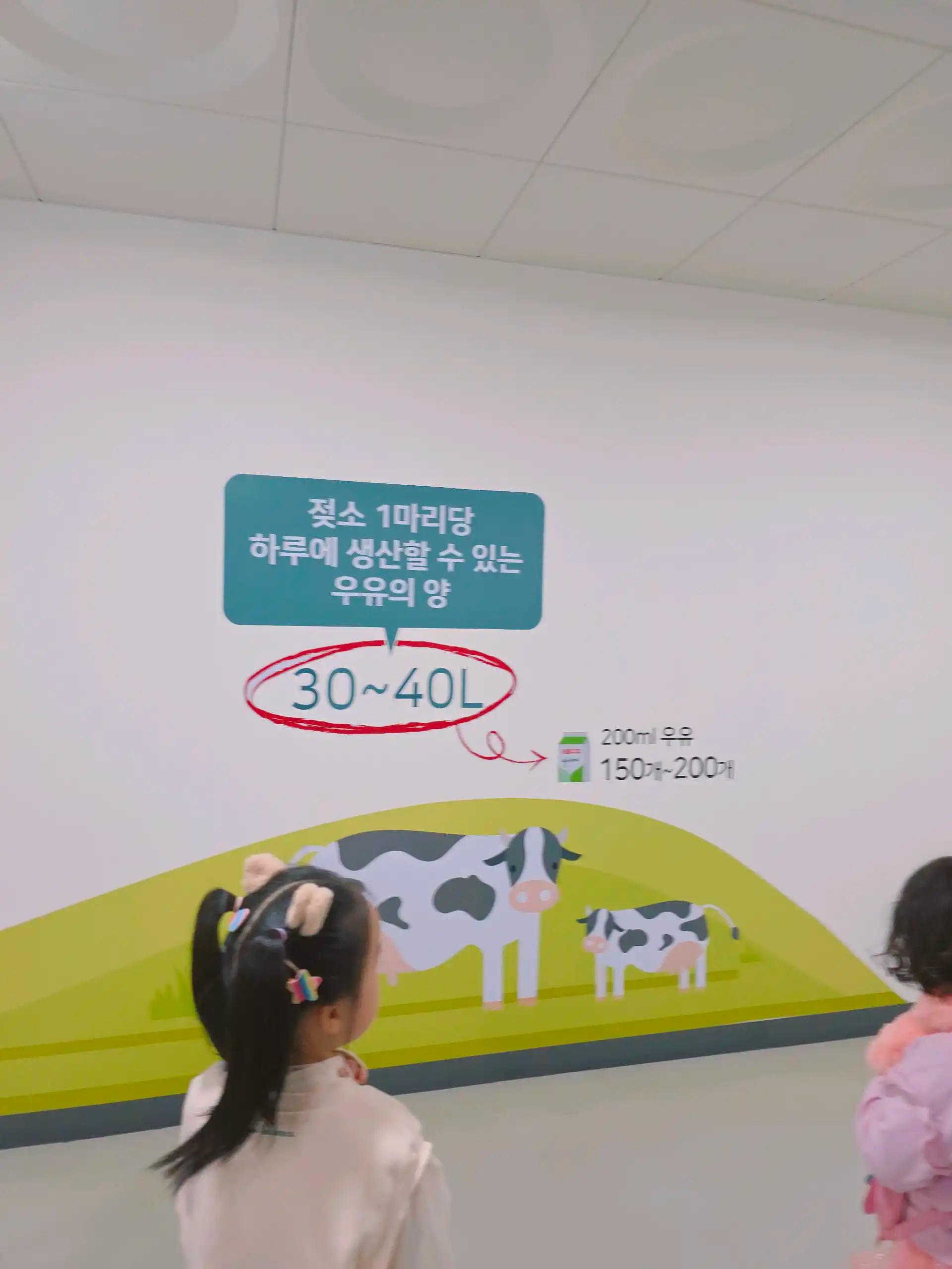 크루톡 이미지 8