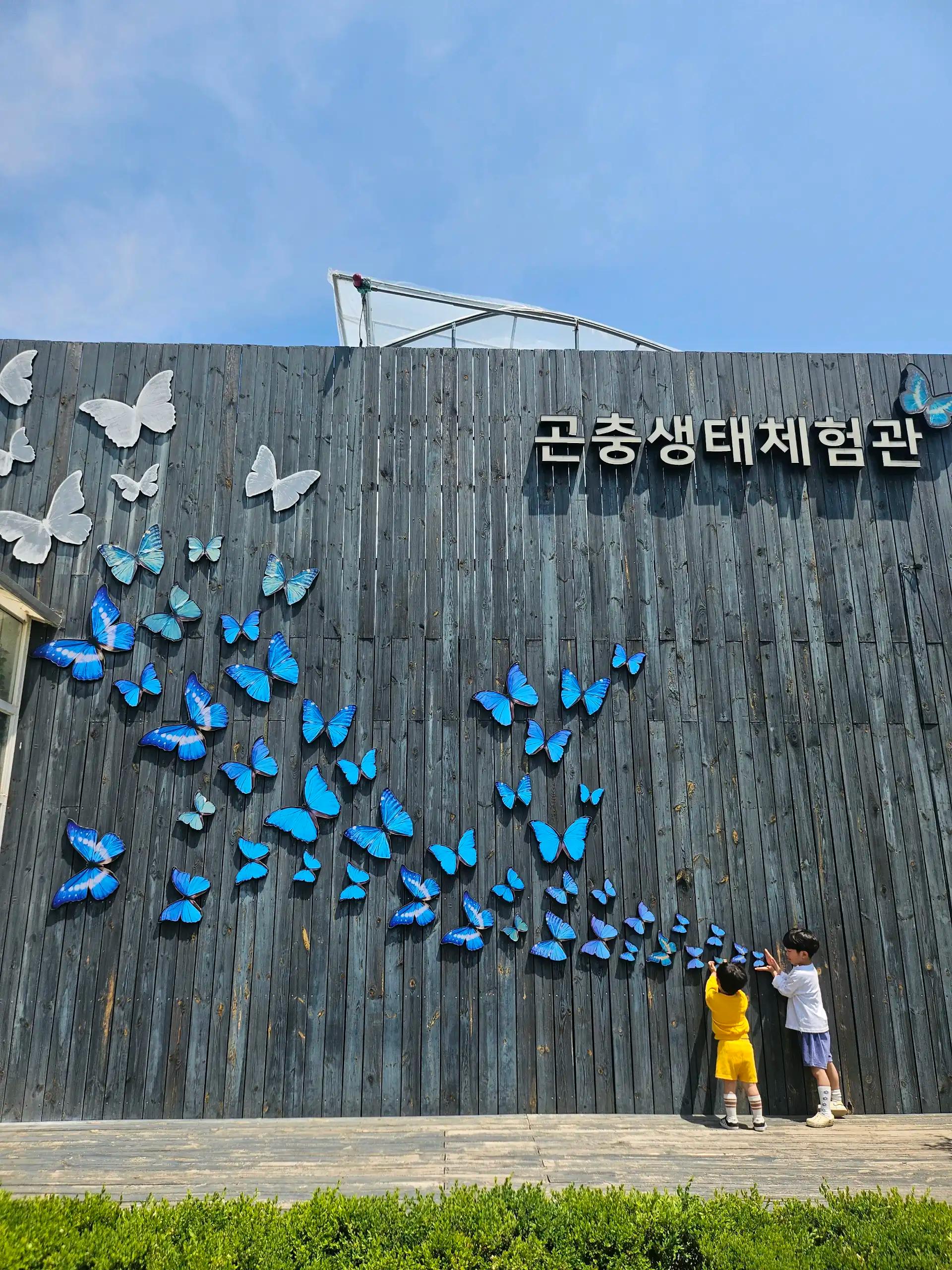 크루톡 이미지 1