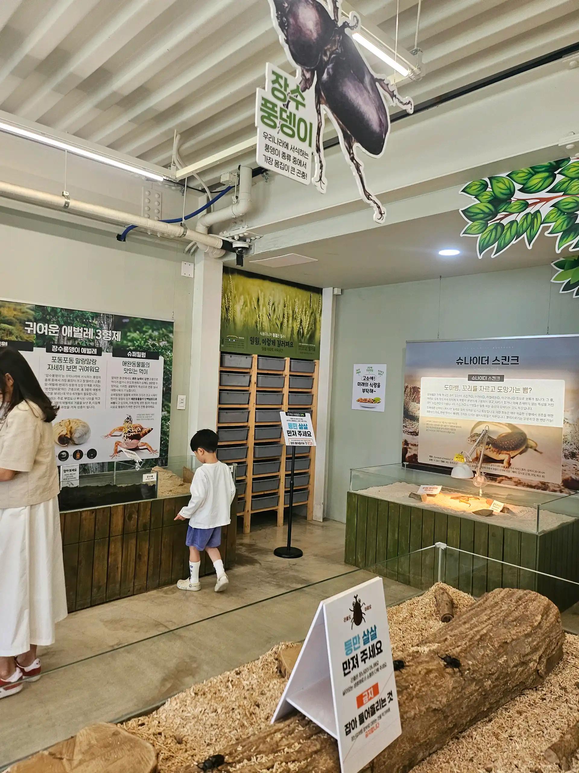 크루톡 이미지 2