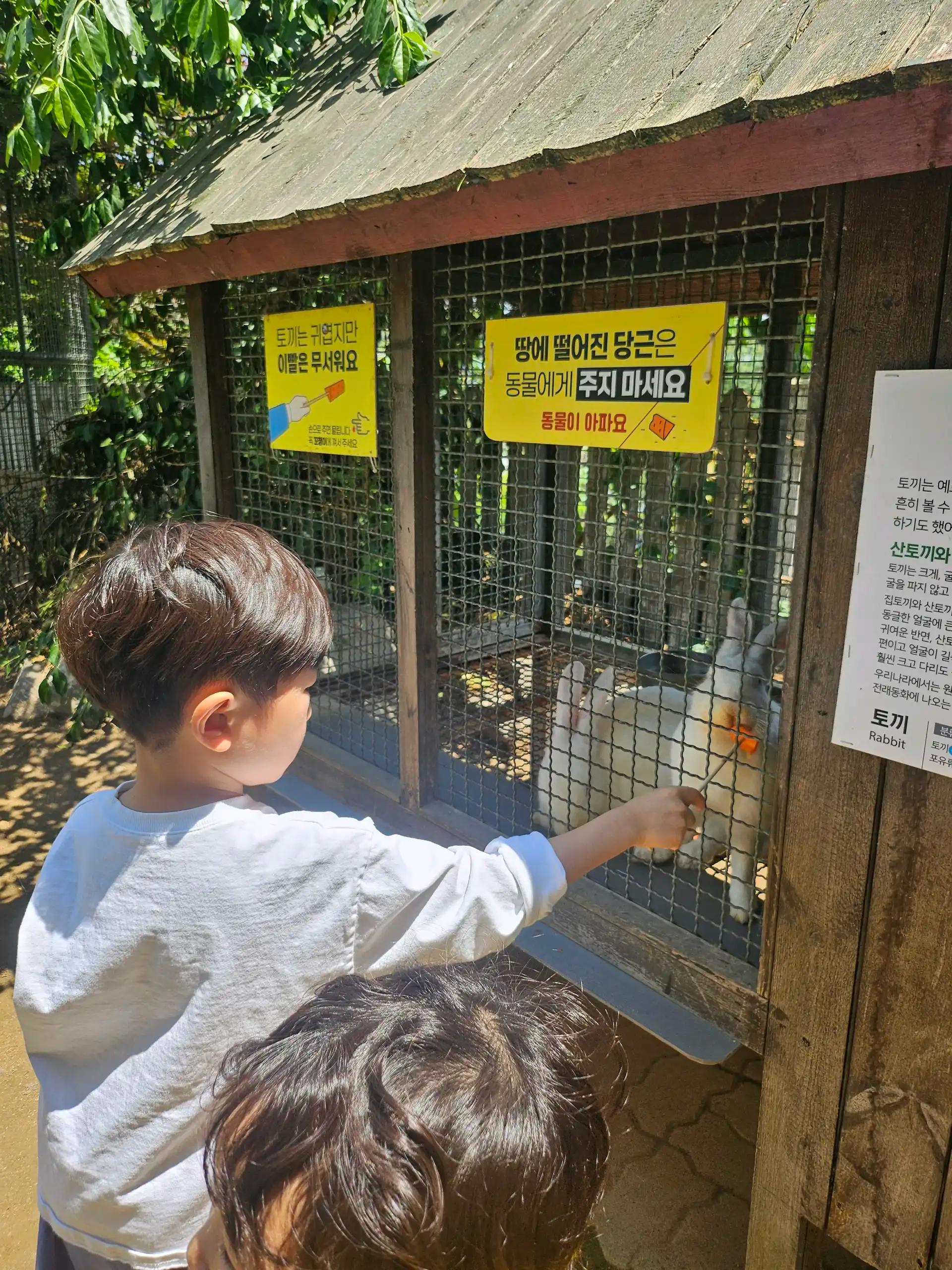 크루톡 이미지 3