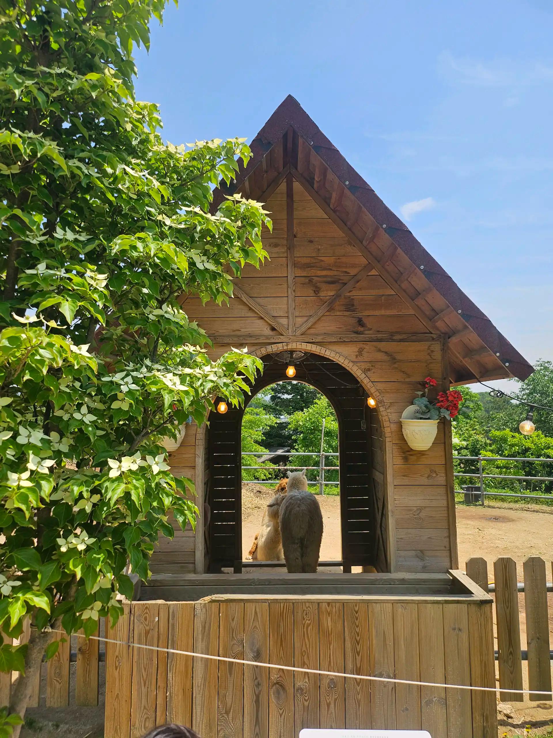 크루톡 이미지 4