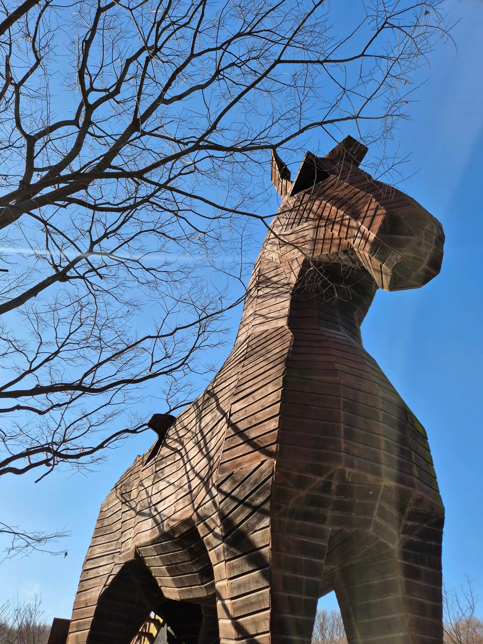 크루톡 이미지 4